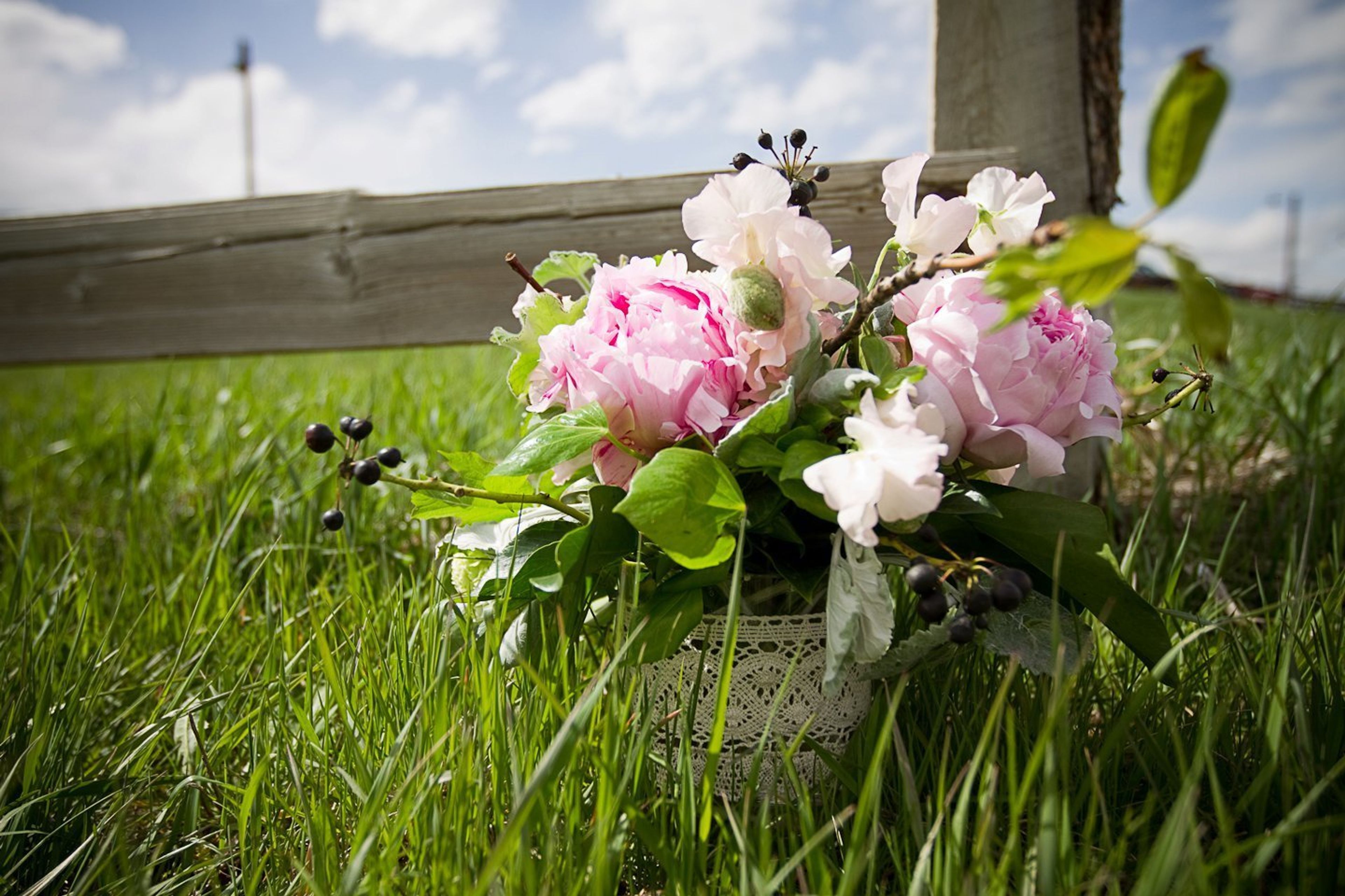 Cover photo of Tall Tulip