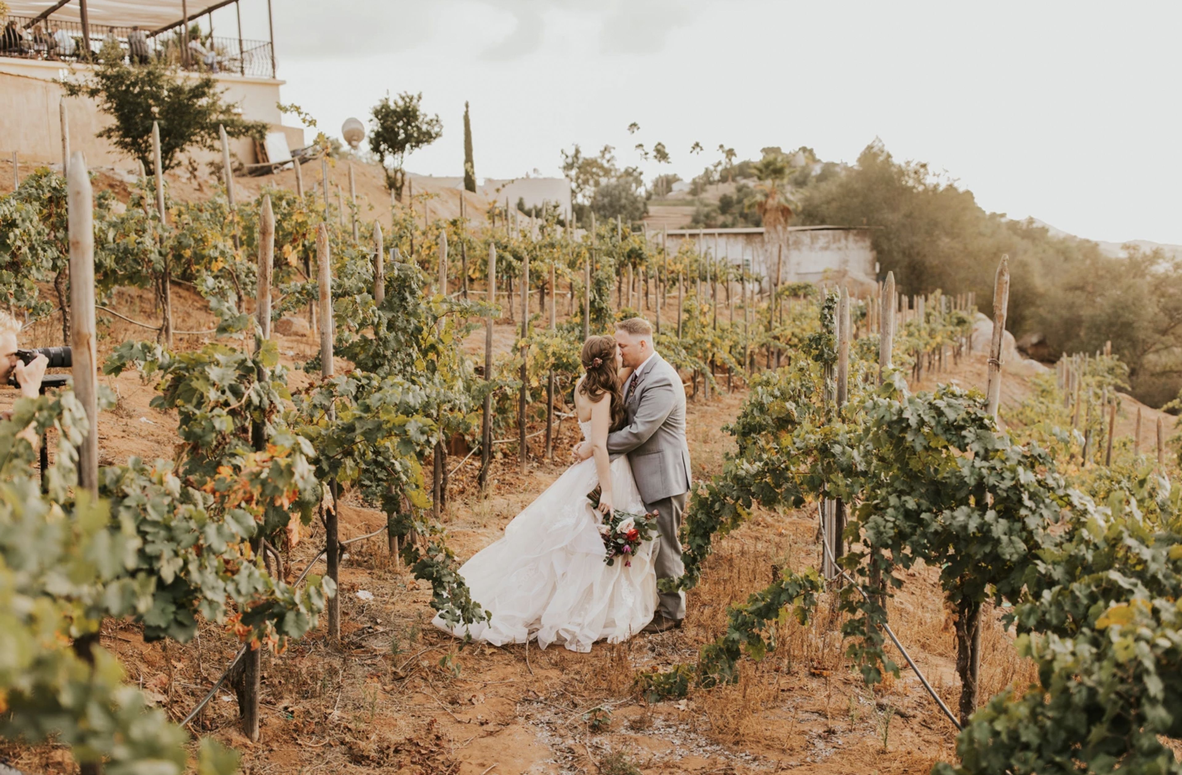 Cover photo of Cordiano Winery