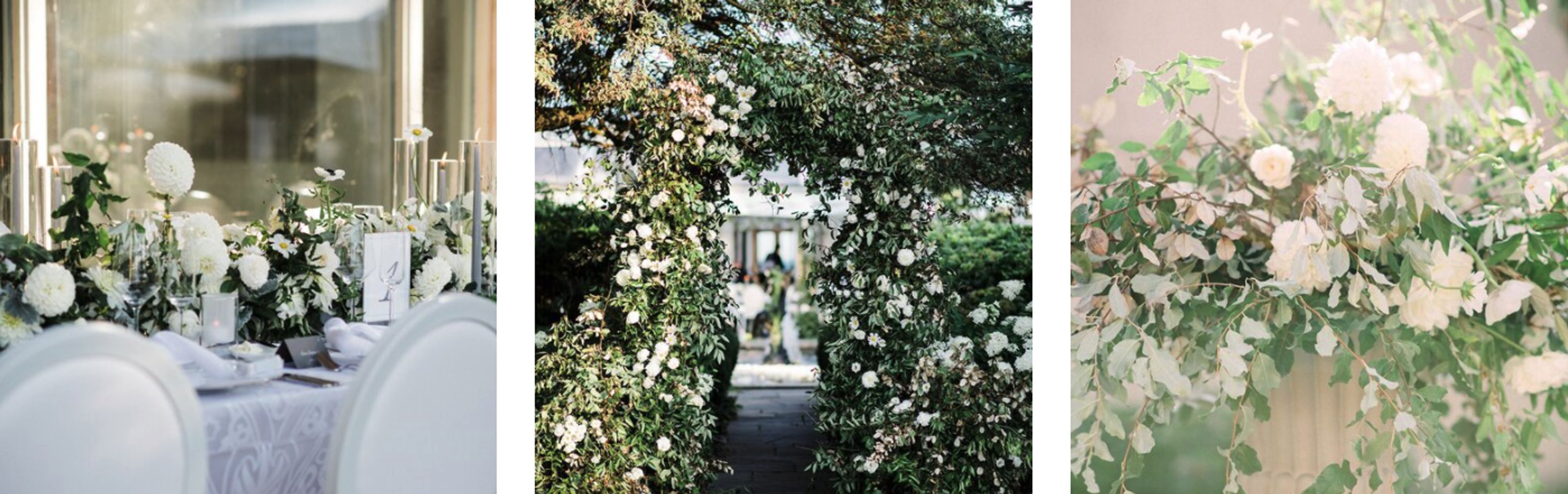 Cover photo of Violet Rose Floral