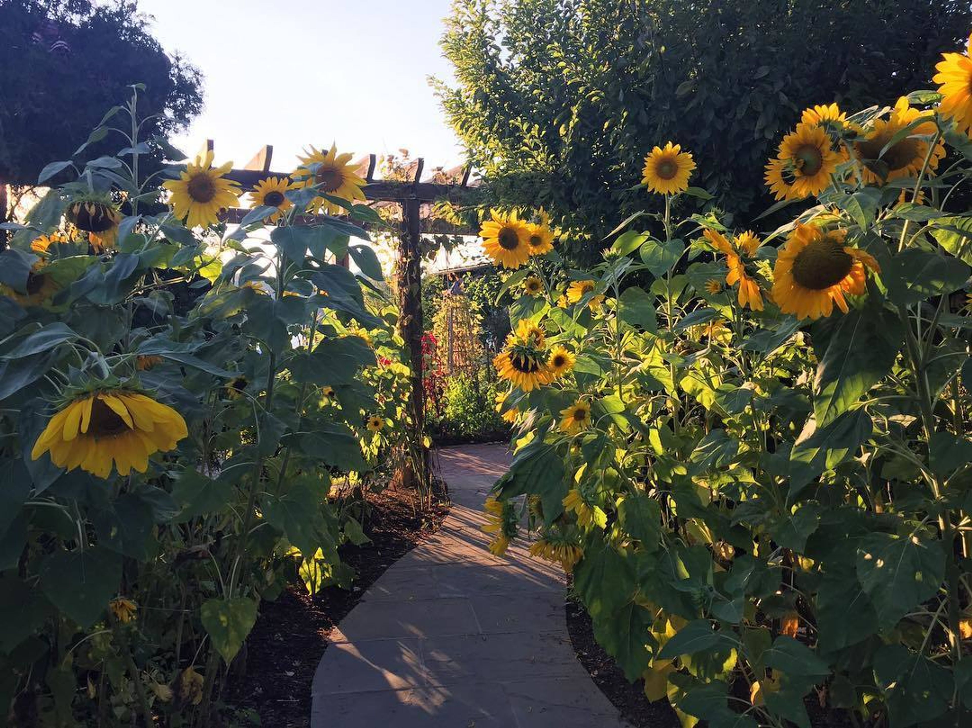 Cover photo of Harvest On Hudson