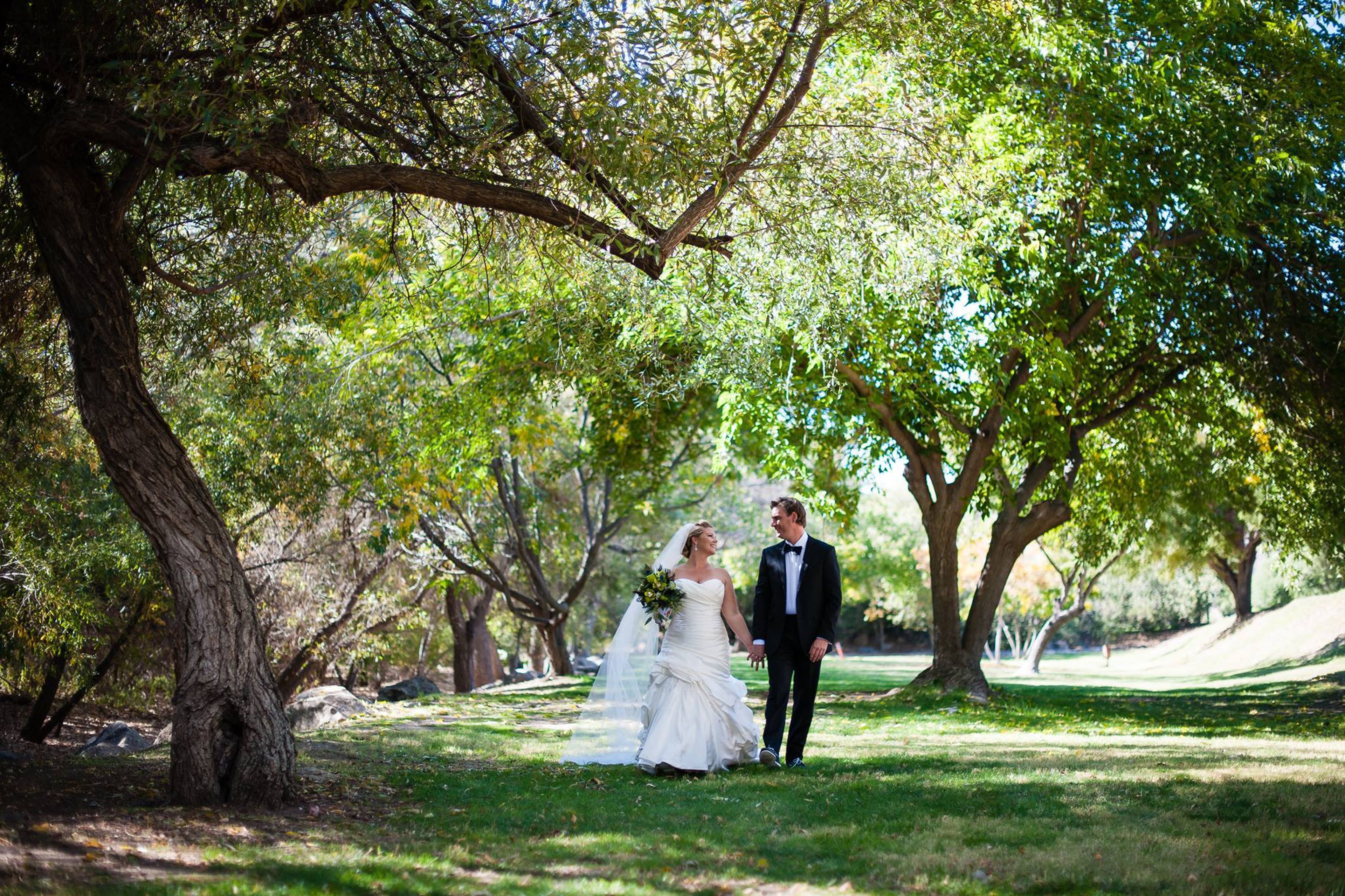 Cover photo of San Vicente Resort