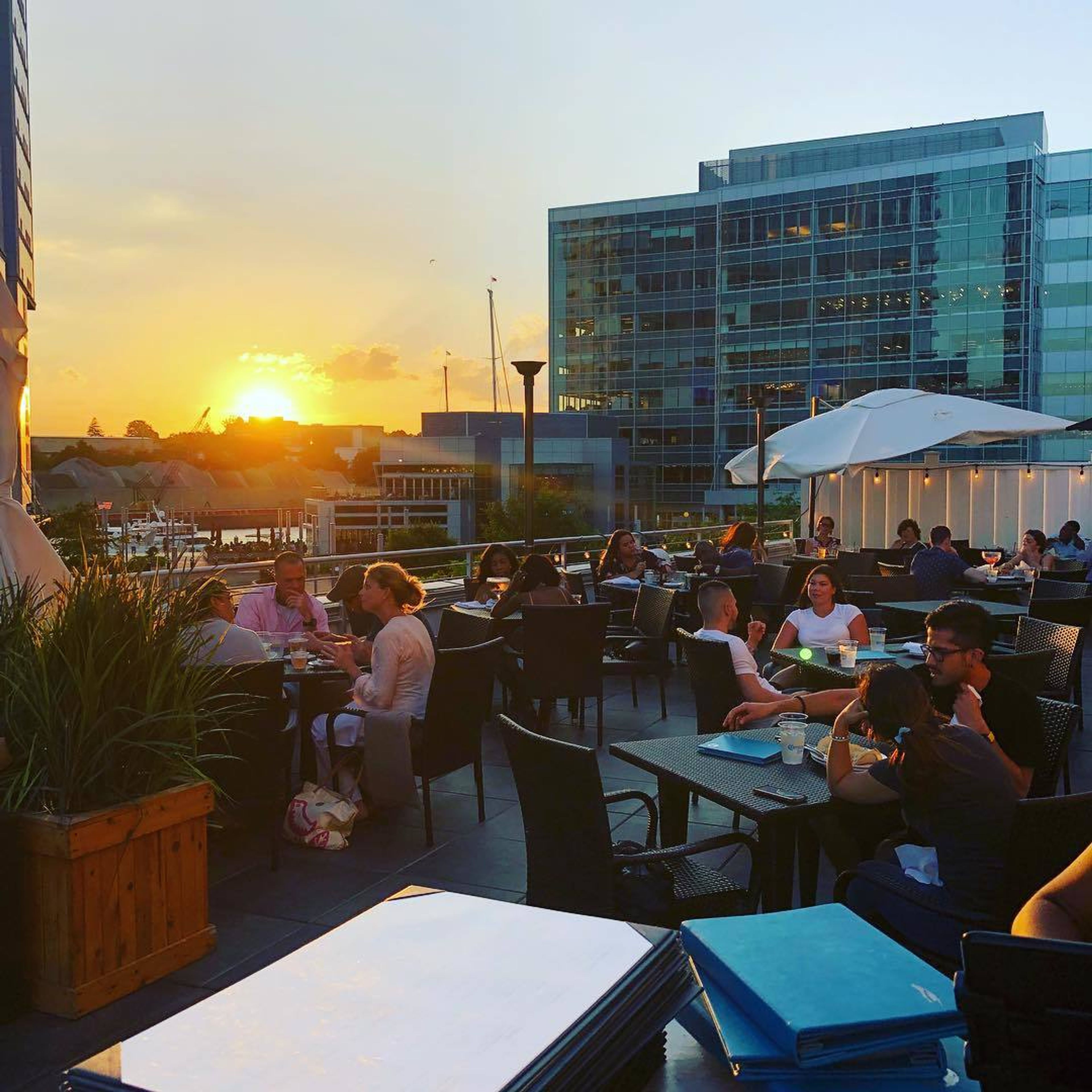 Cover photo of Sign Of The Whale