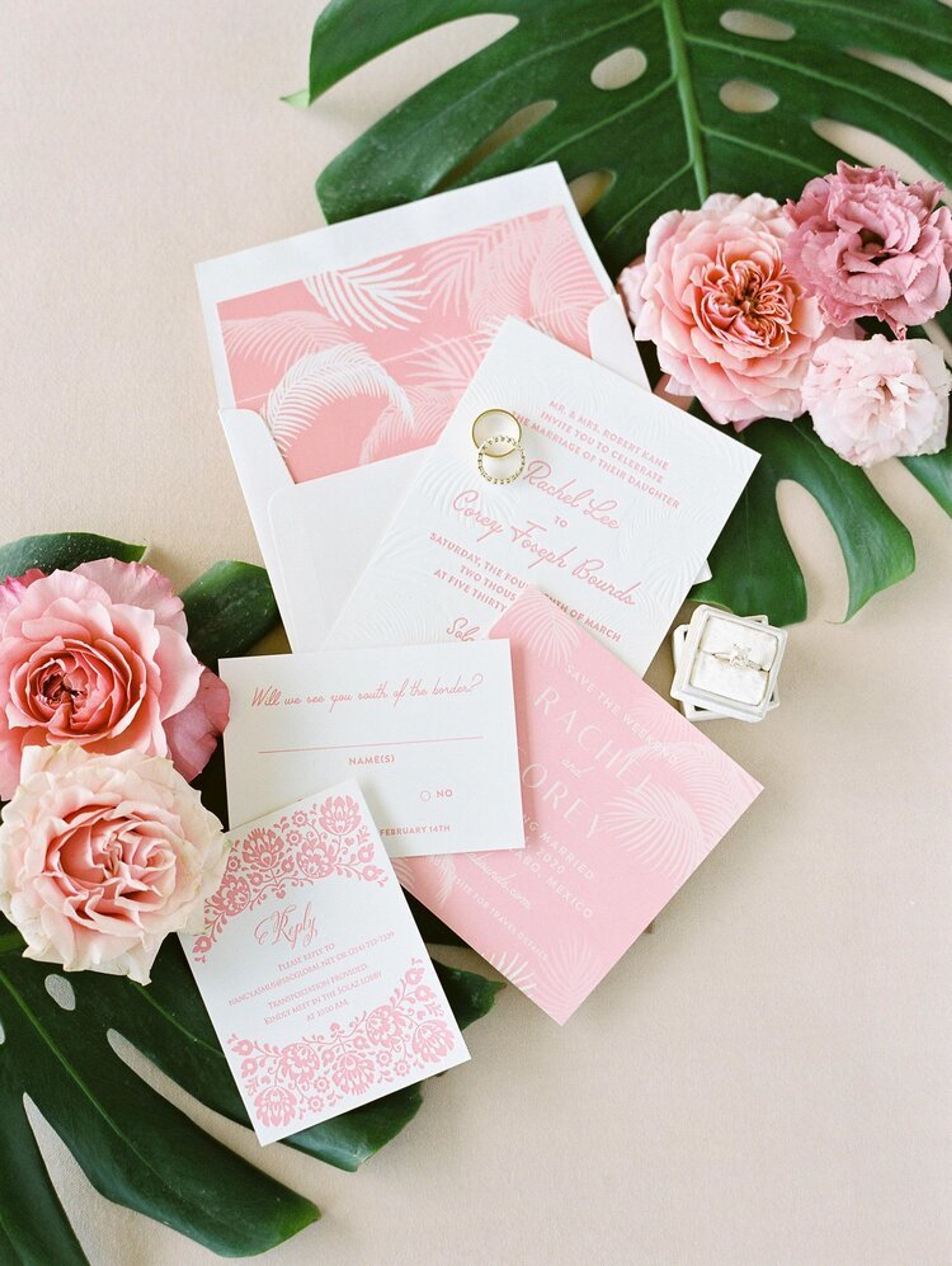 Cover photo of Katherine Jezek Design