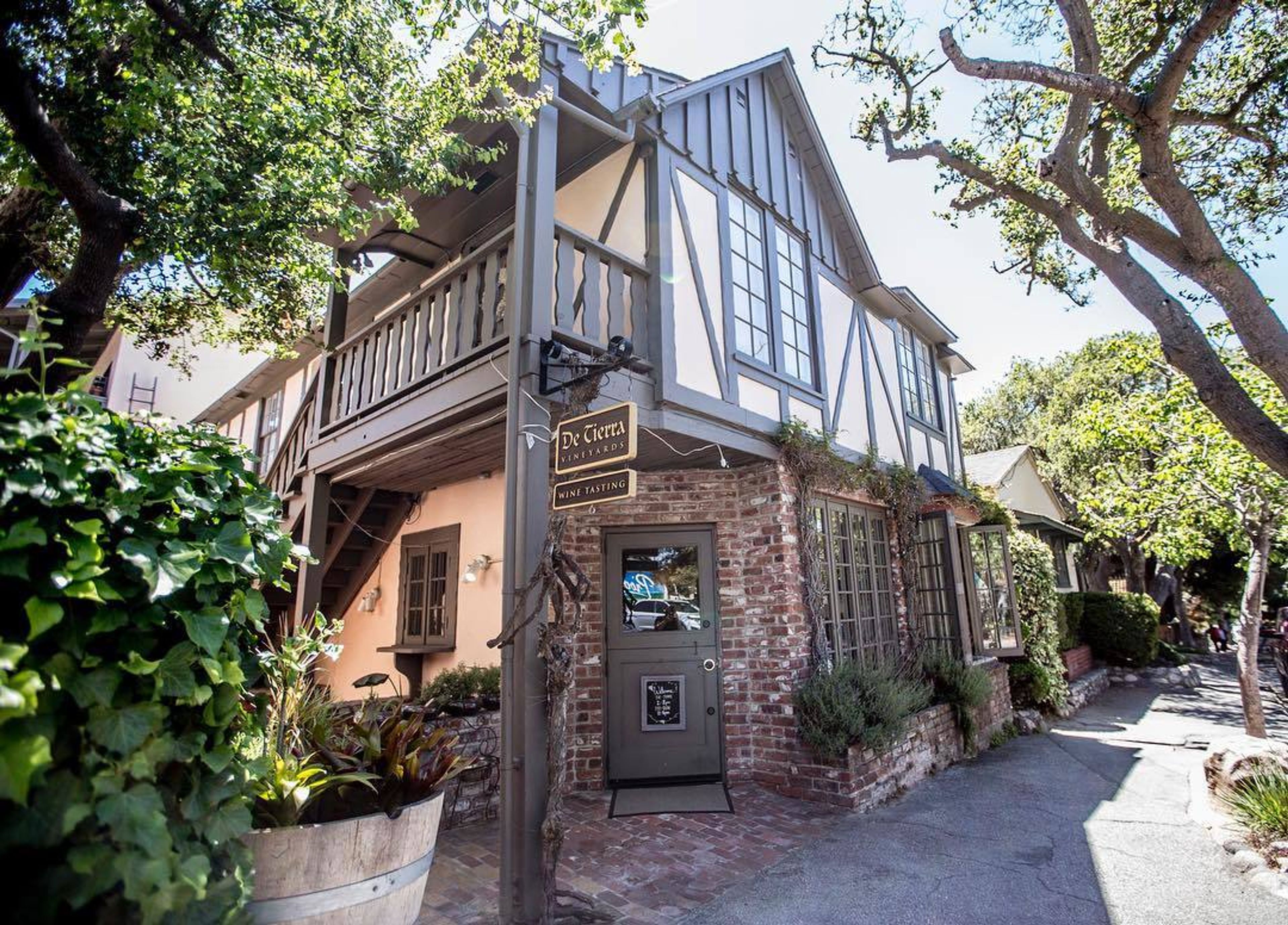 Cover photo of De Tierra Vineyards