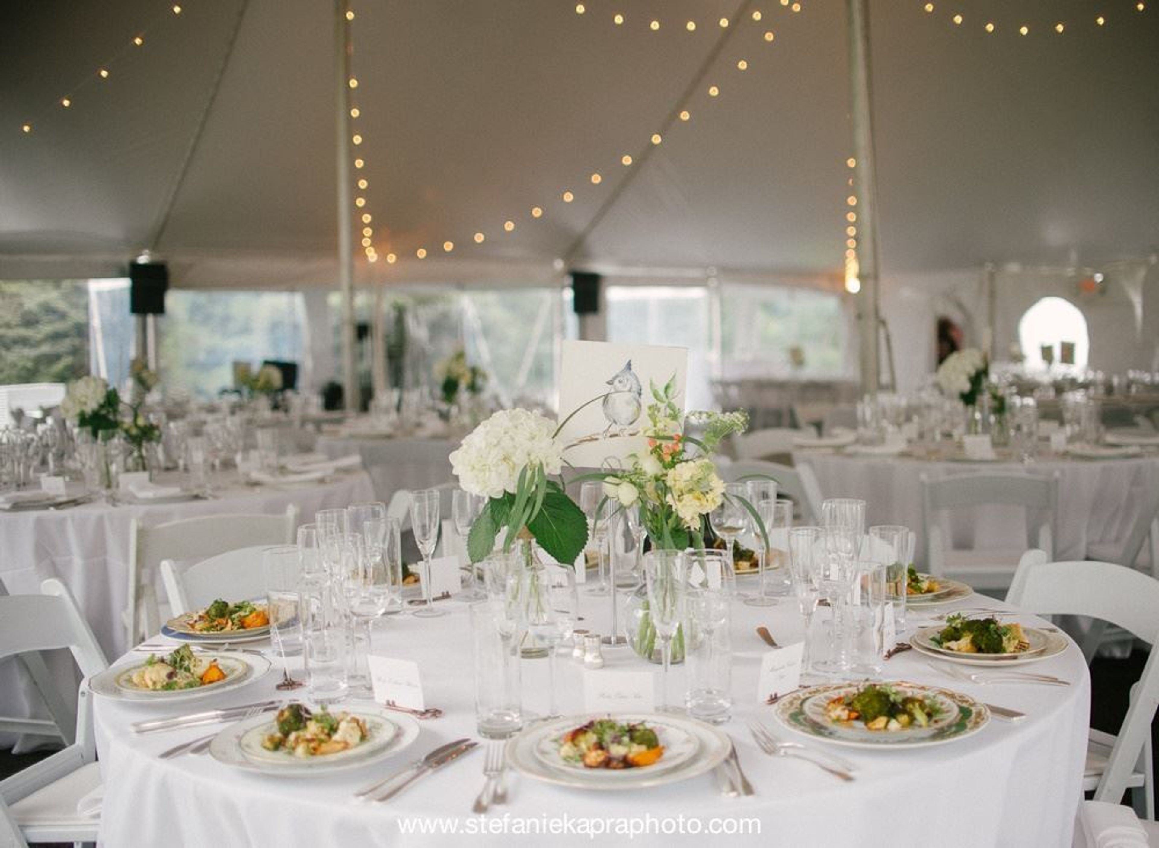 Cover photo of The Burr Homestead