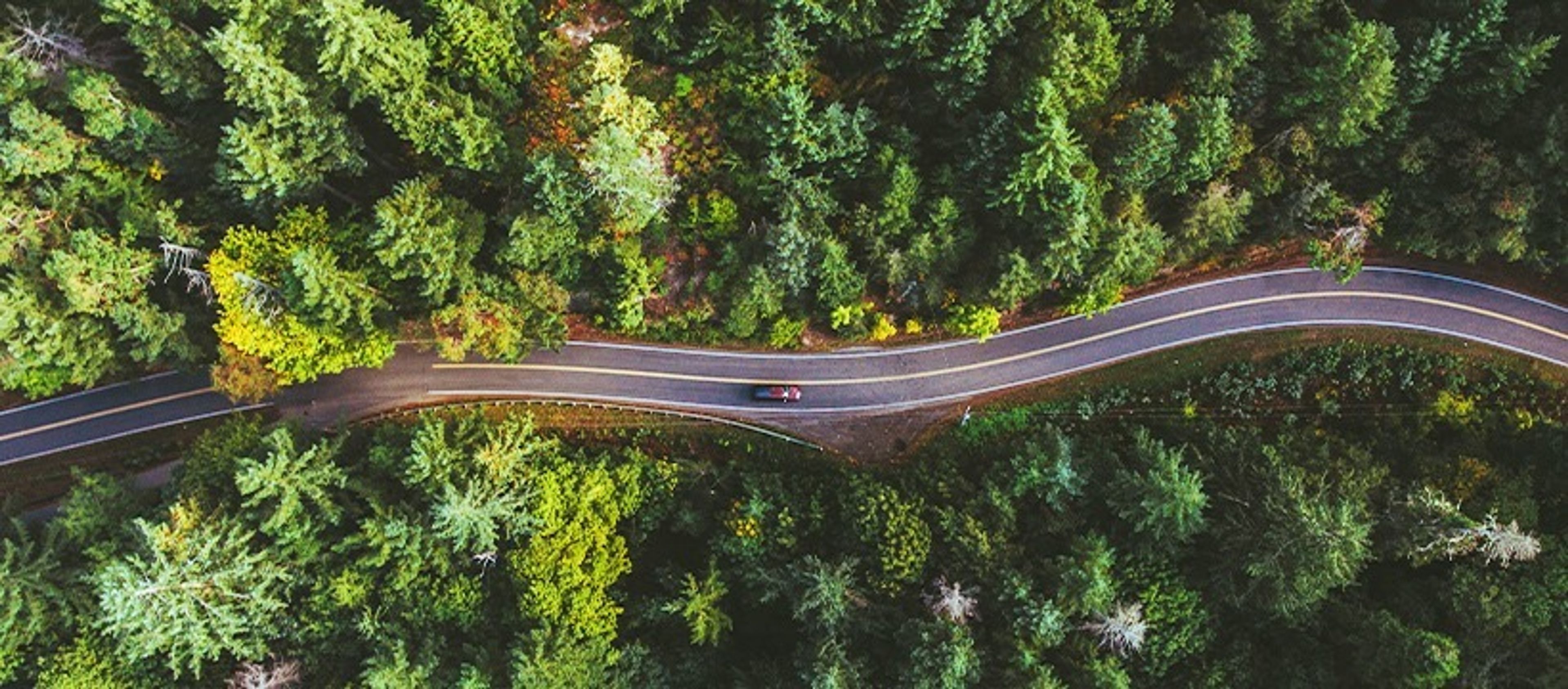 Cover photo of The Robert Treat Hotel