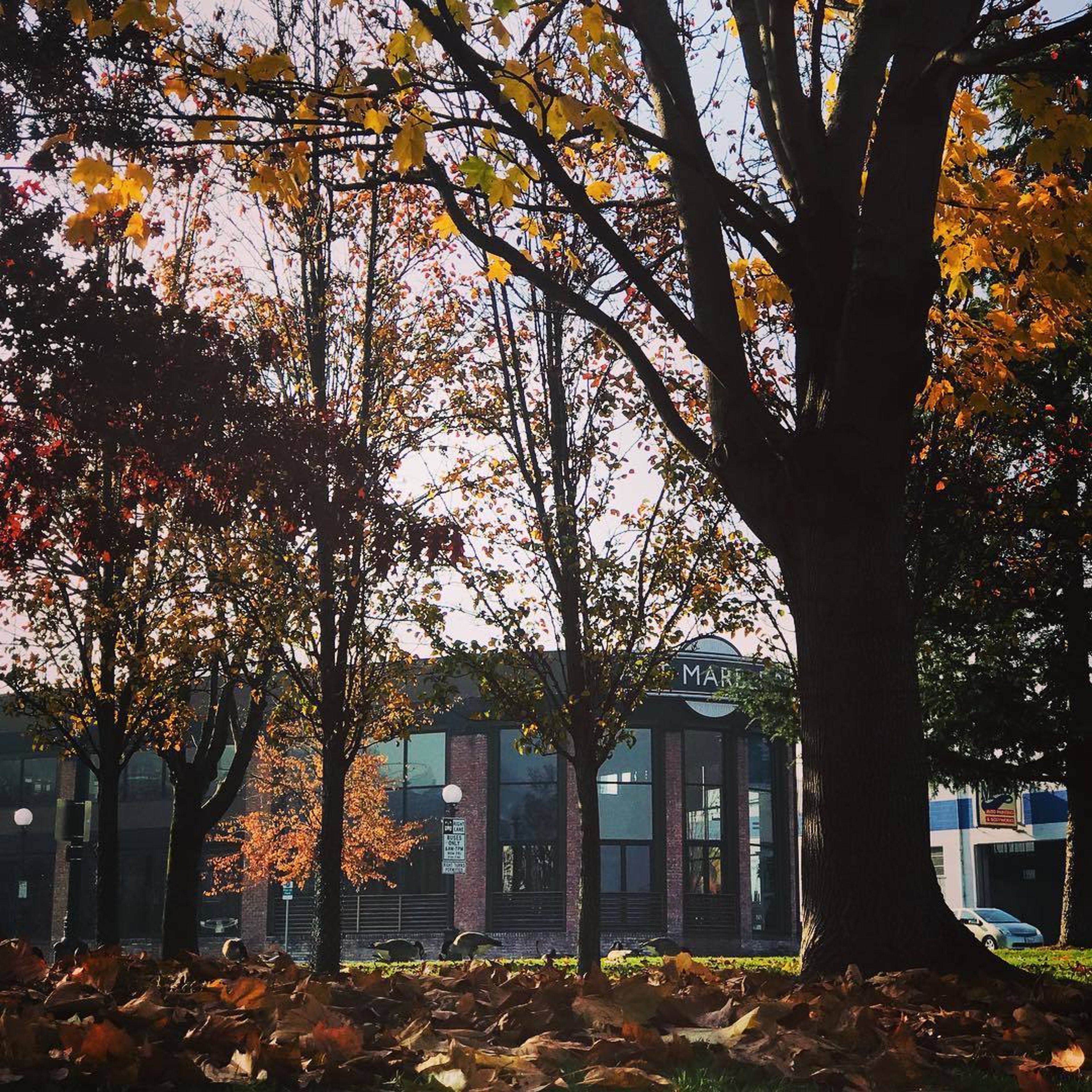 Cover photo of Art Marble 21