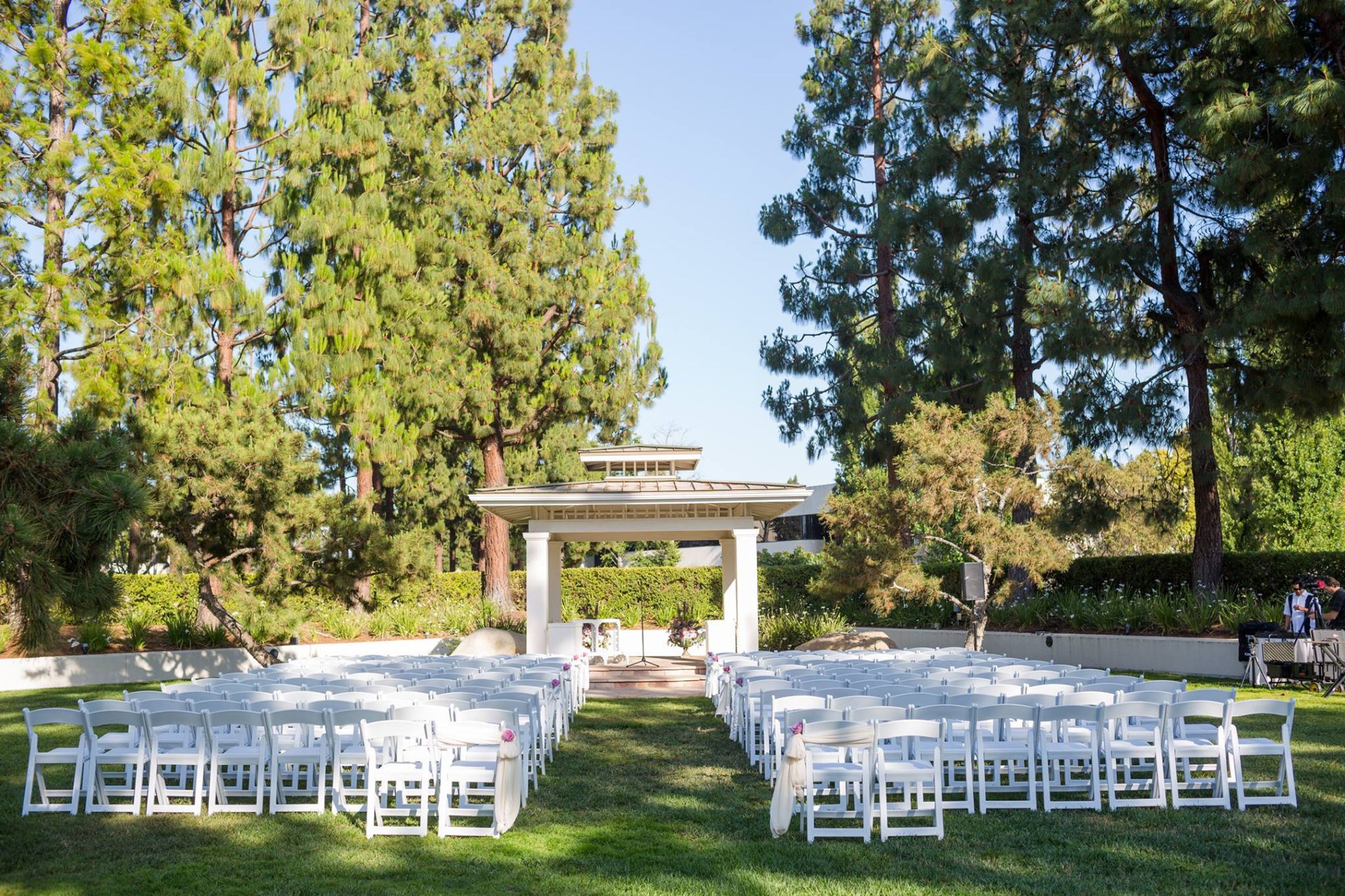 Cover photo of Turnip Rose Promenade Gardens