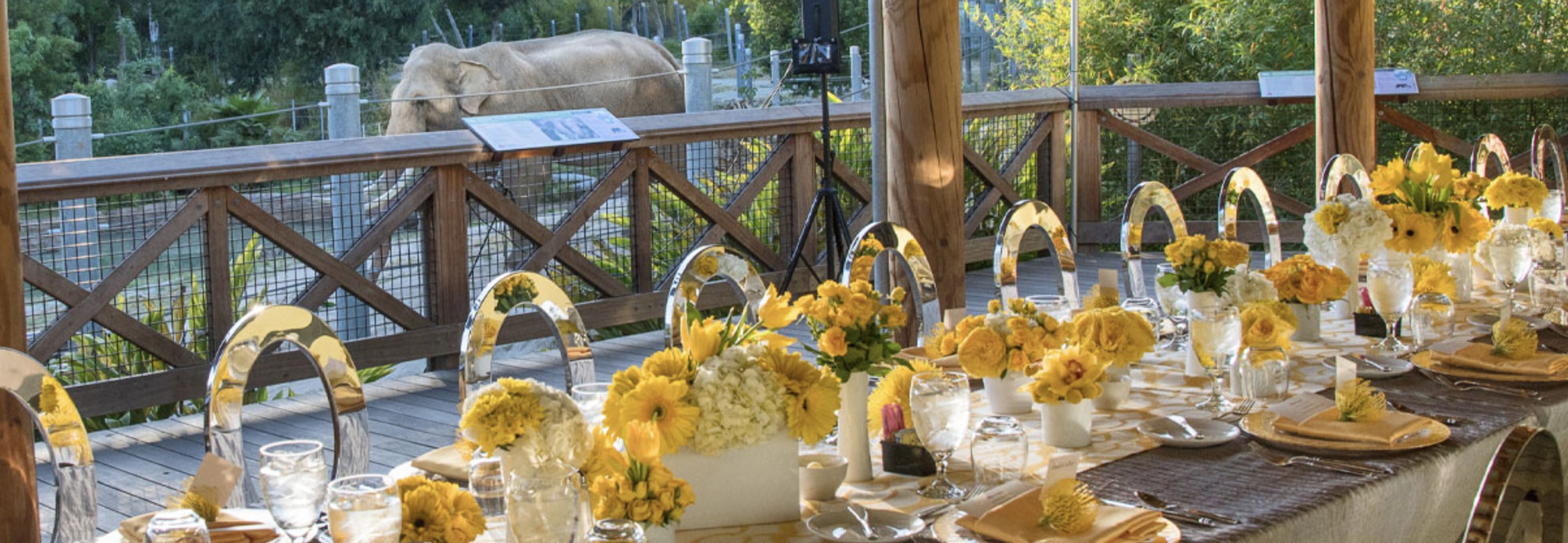 Cover photo of The Los Angeles Zoo