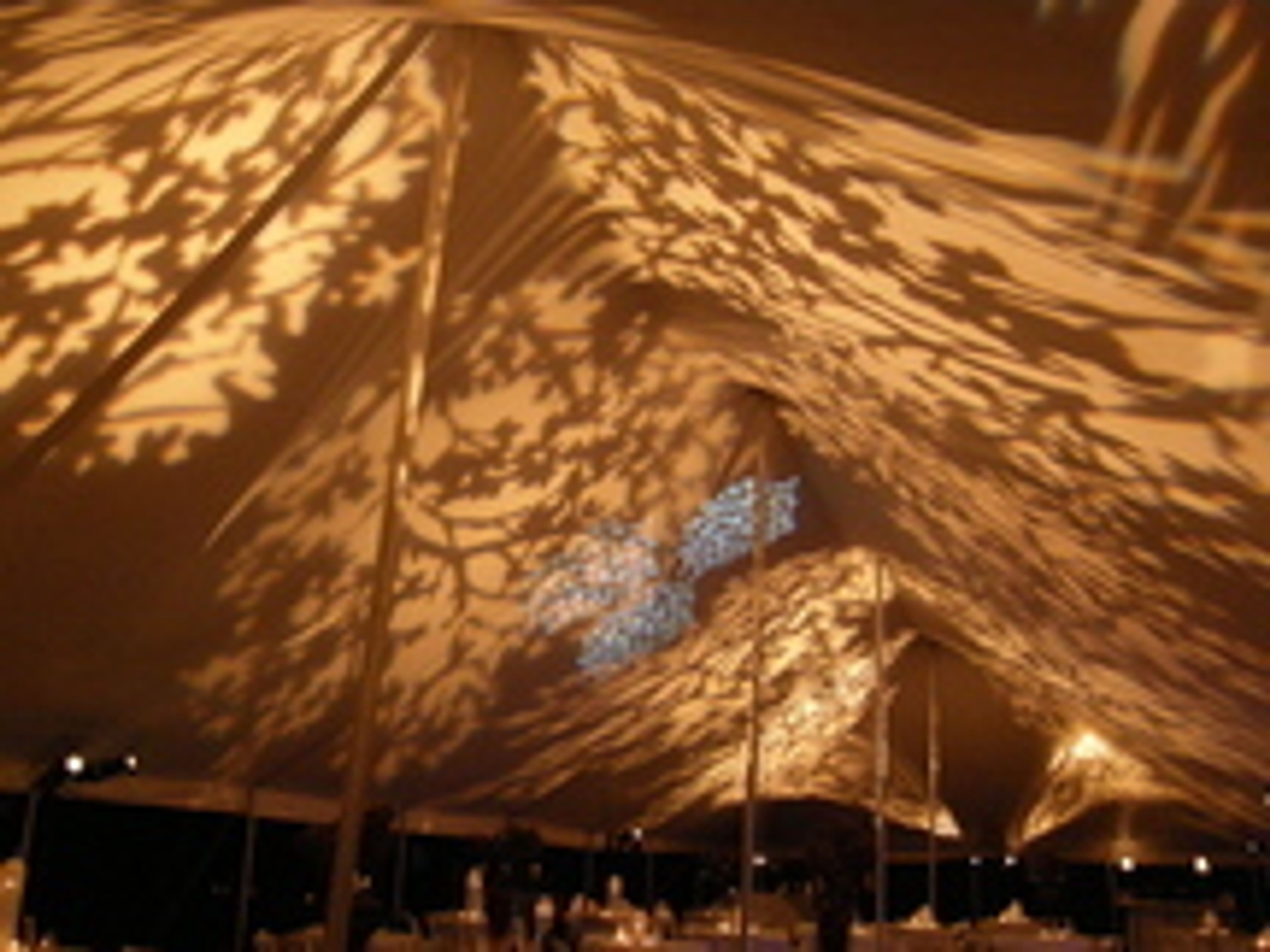 Cover photo of Chicago Lighting Design