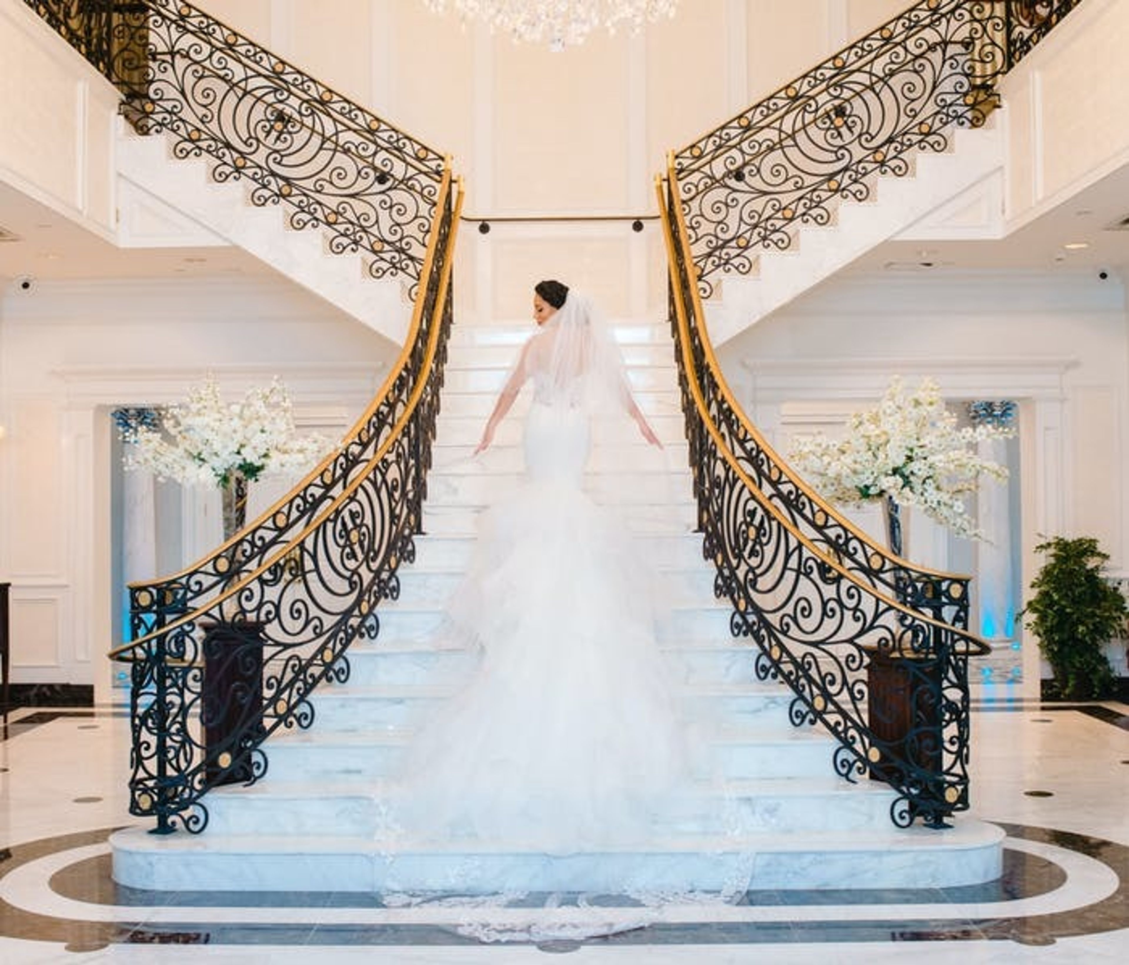 Cover photo of Mae B Films