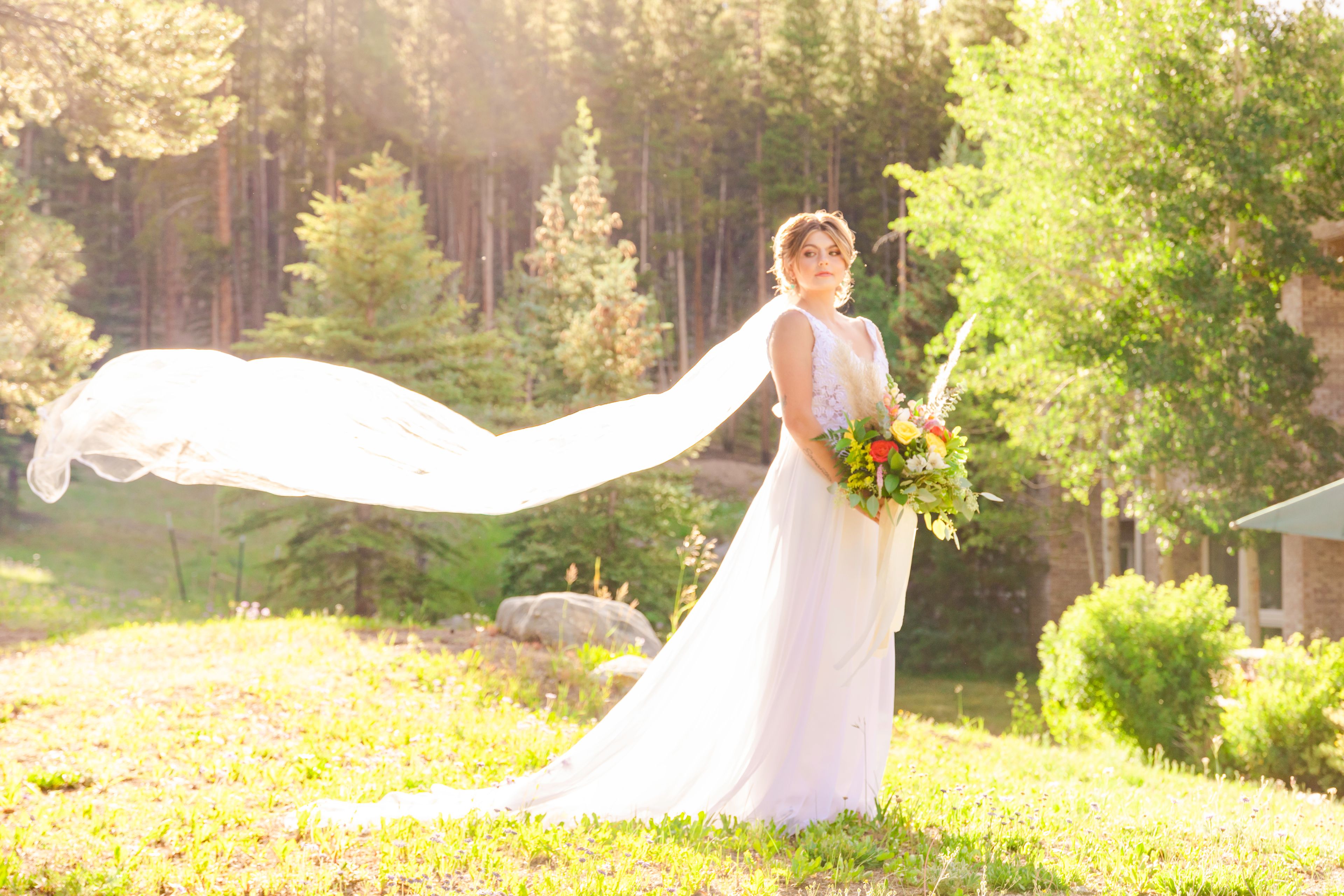 Cover photo of Alegre Weddings and Events