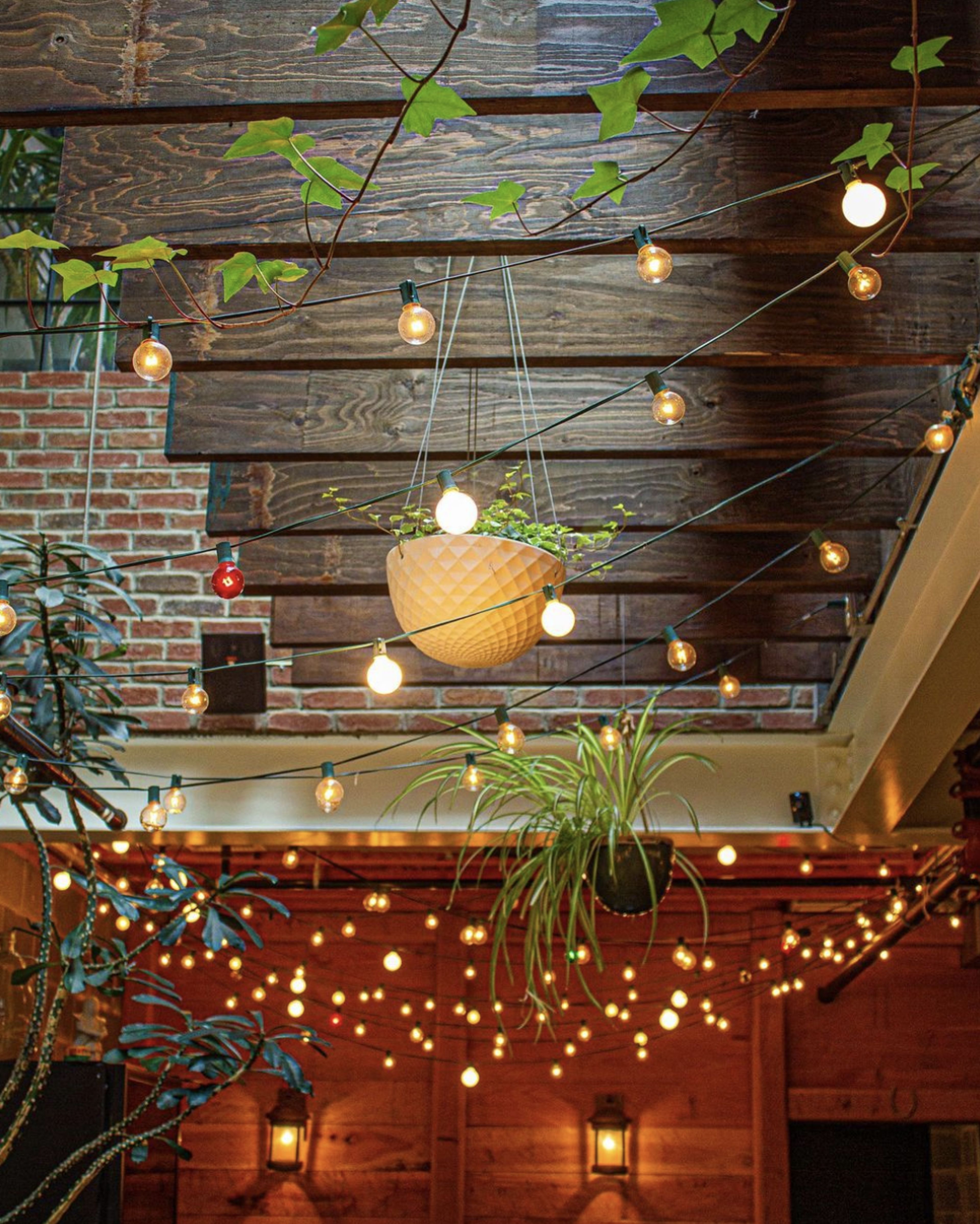 Cover photo of Rose's Luxury