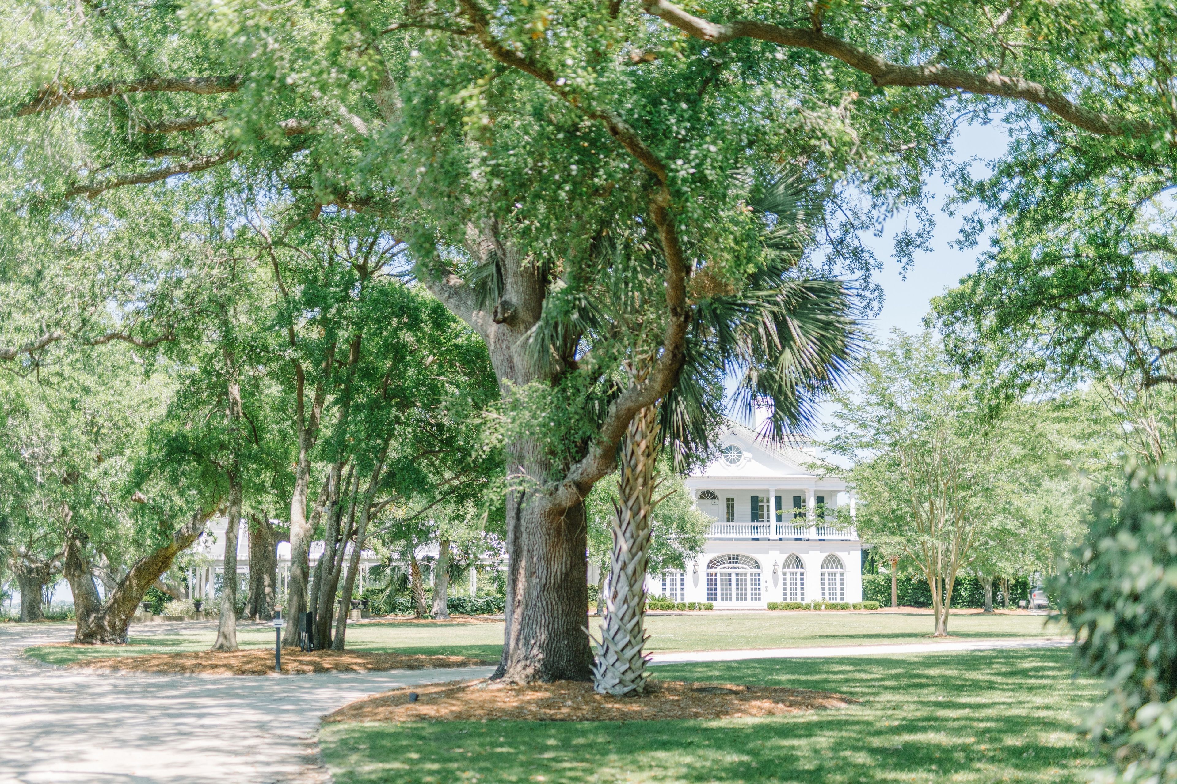 Cover photo of Lowndes Grove