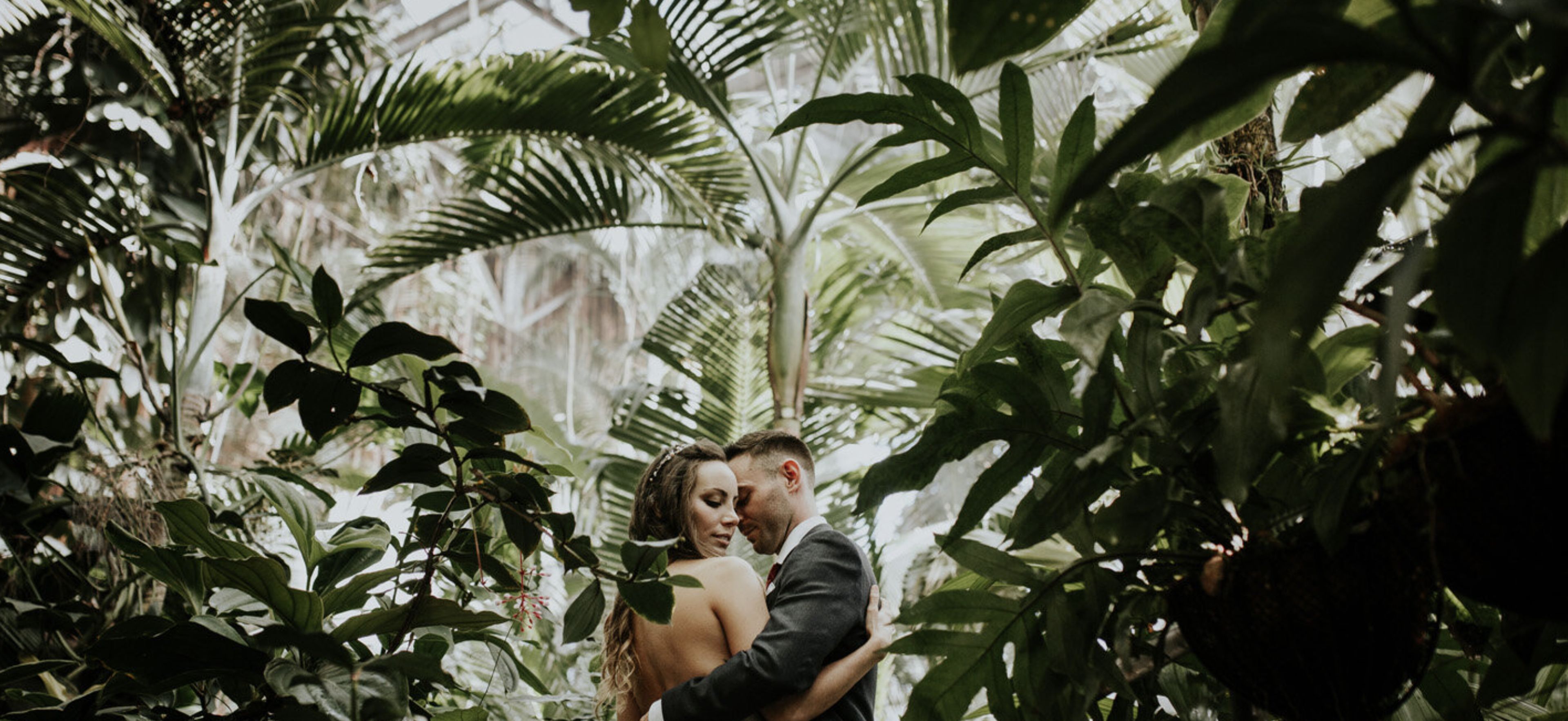 Cover photo of Lupins and Lava