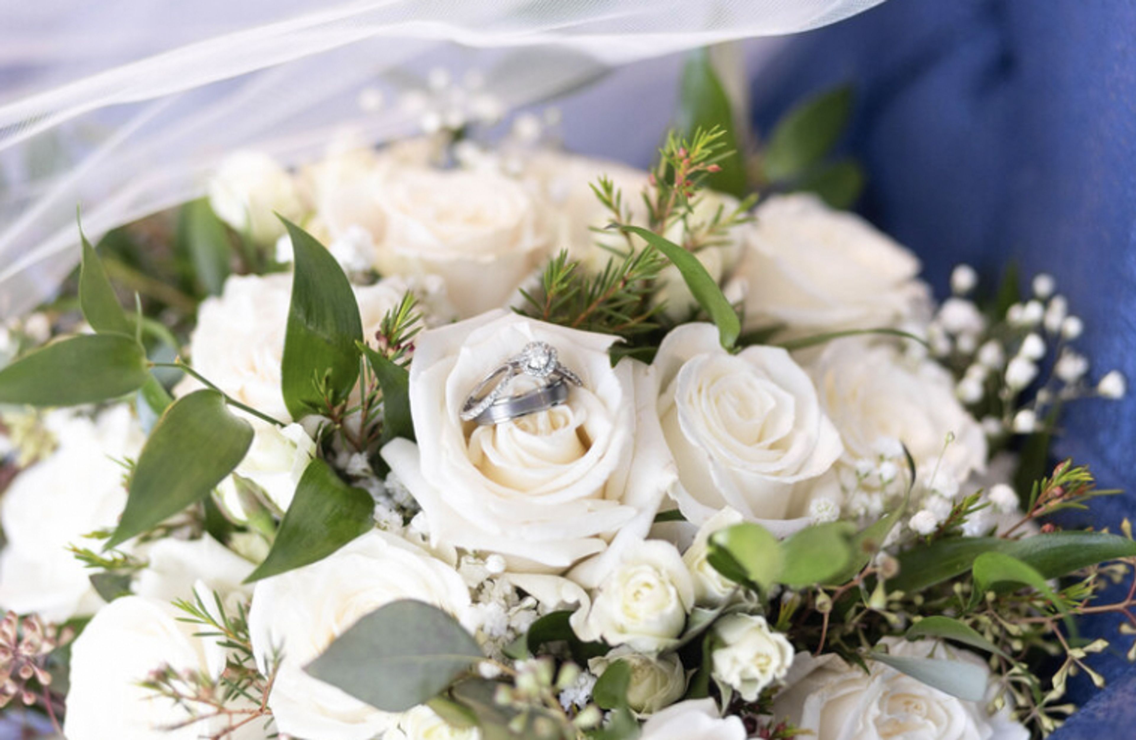 Cover photo of Katrina Poggio Photography