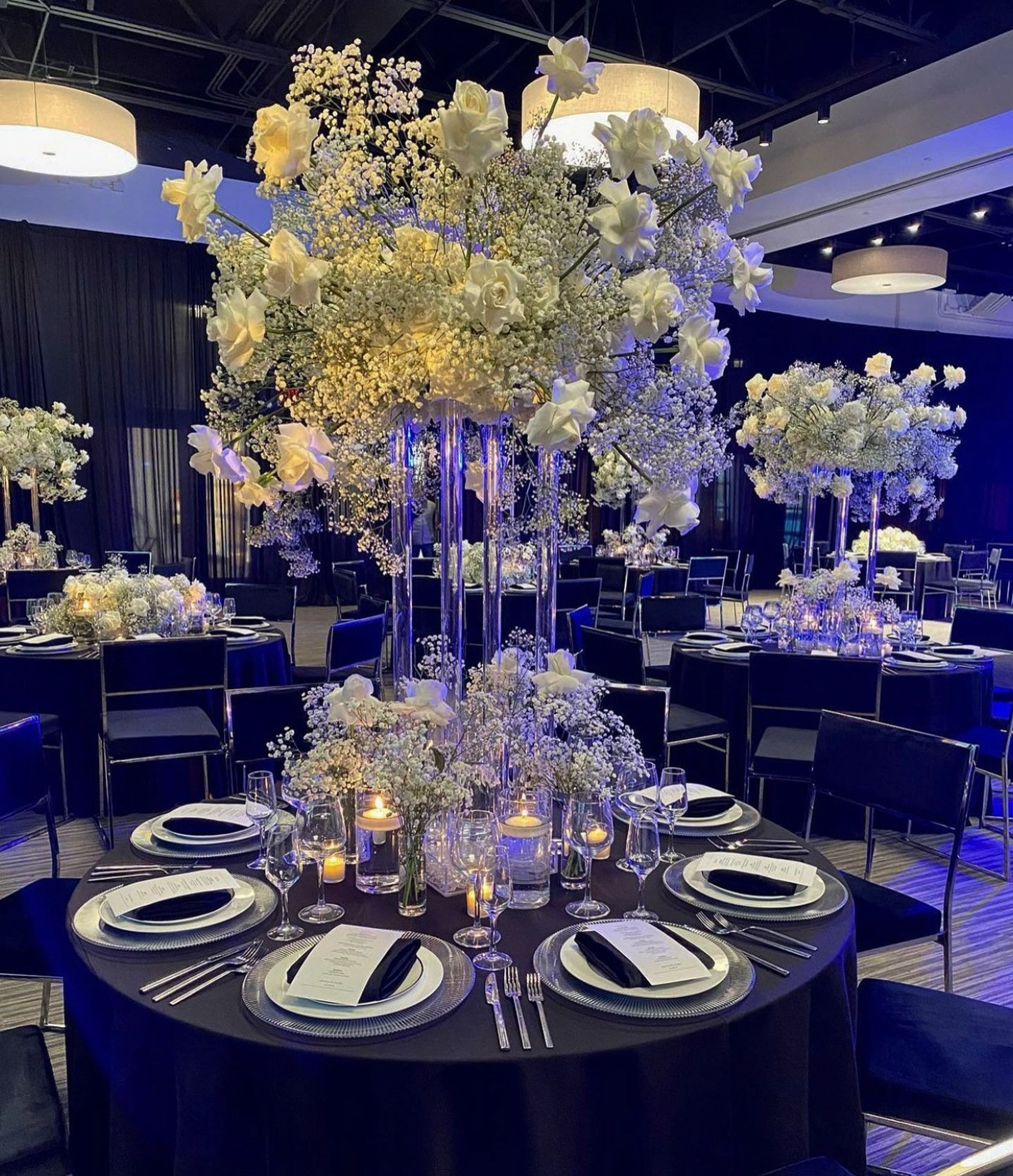 Cover photo of The Mayne Events Center