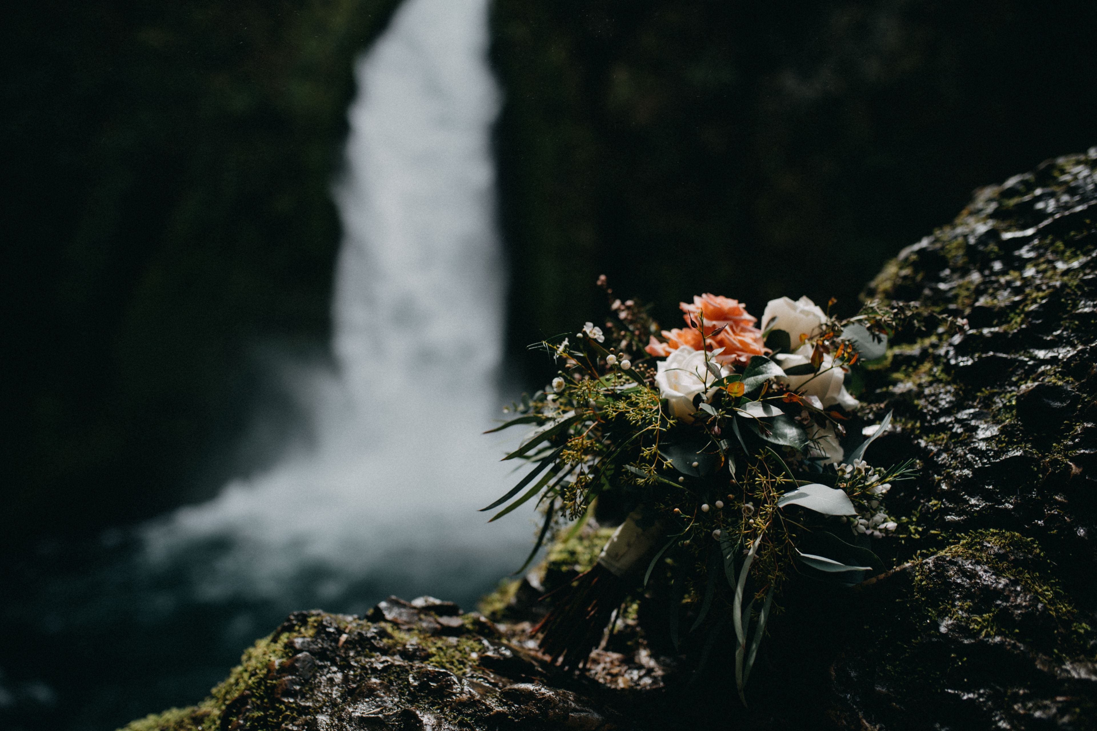 Cover photo of Tammy's Floral