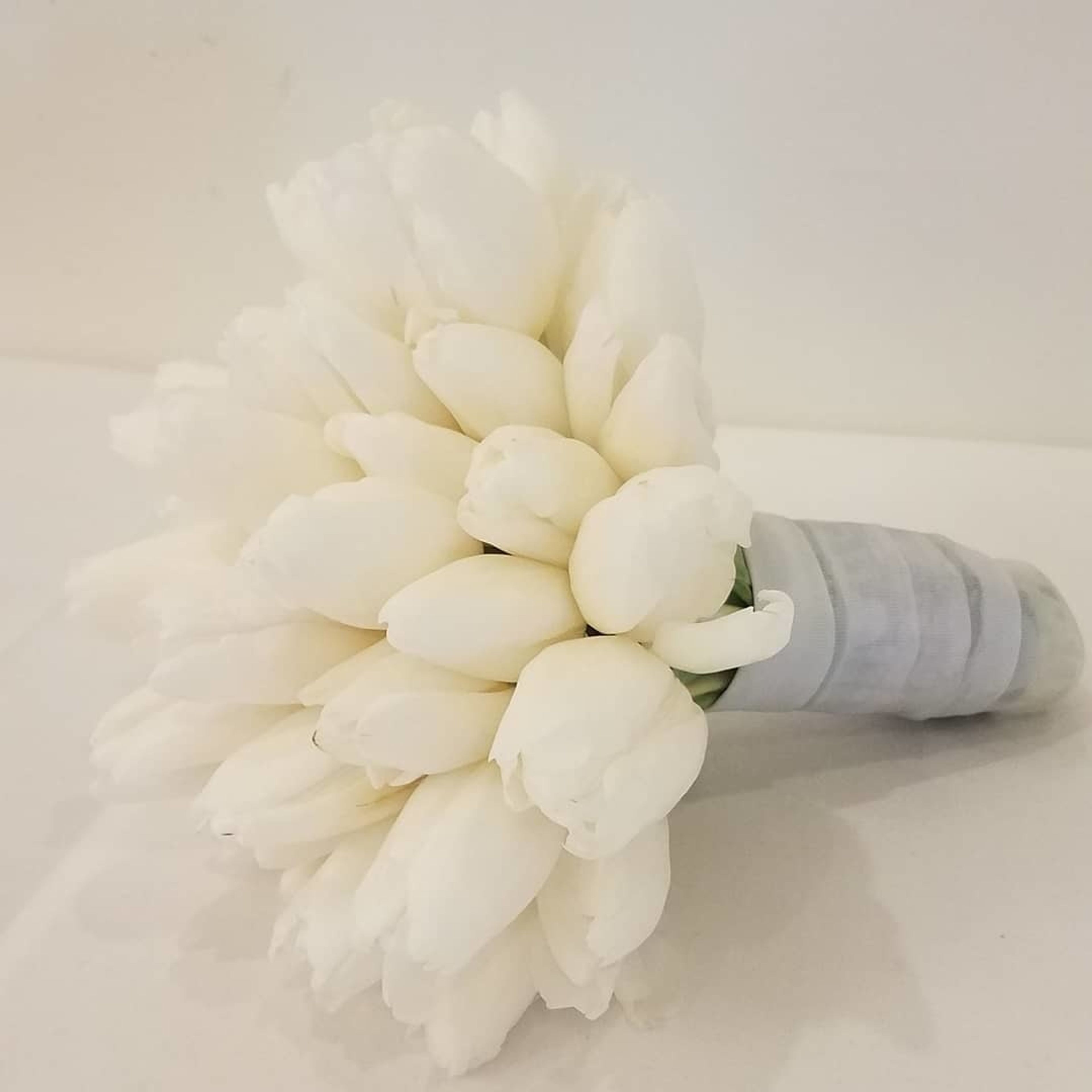 Cover photo of SCF Events