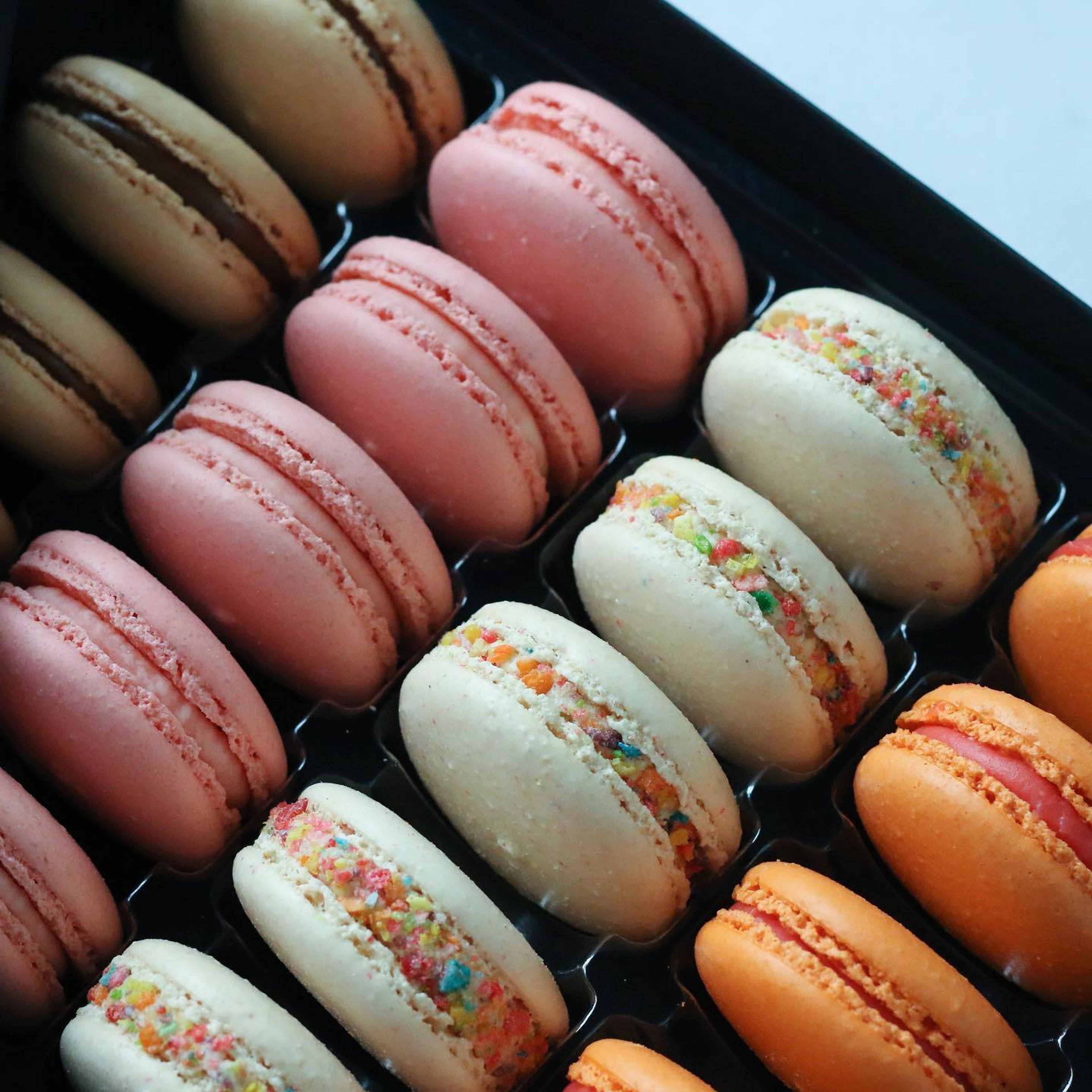 Cover photo of Olivia Macaron