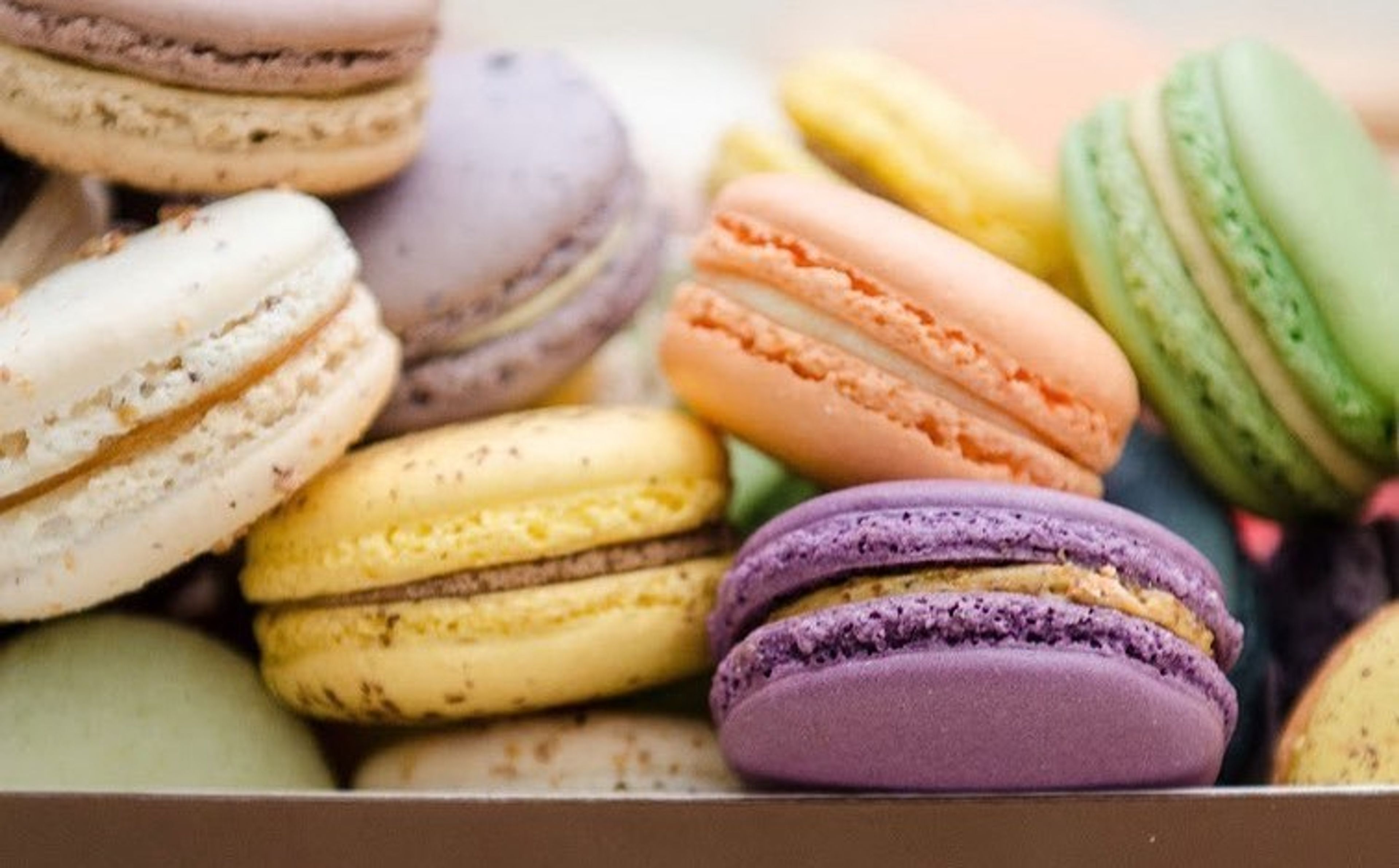 Cover photo of The Sweet Lobby