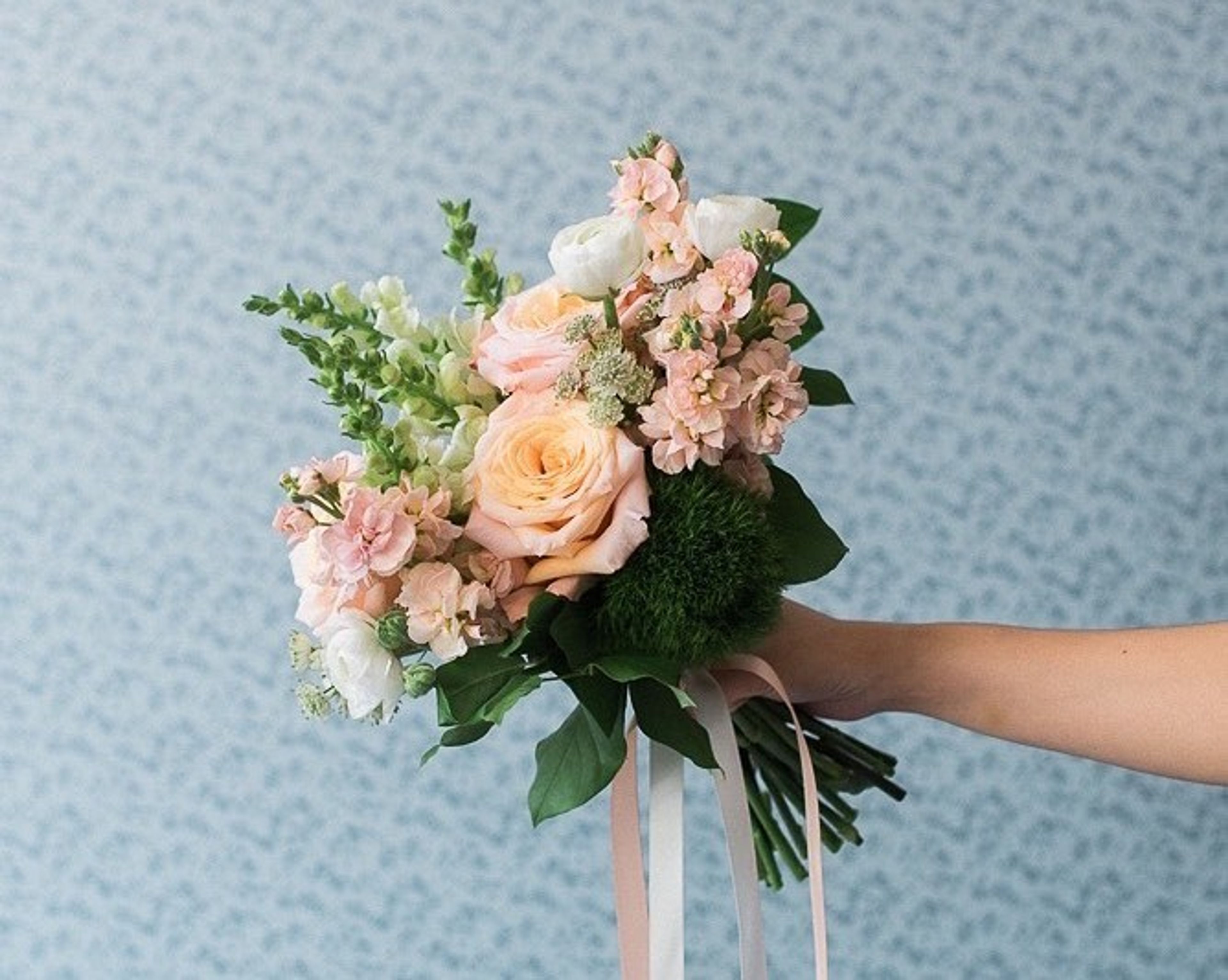 Cover photo of Fleurs Petite