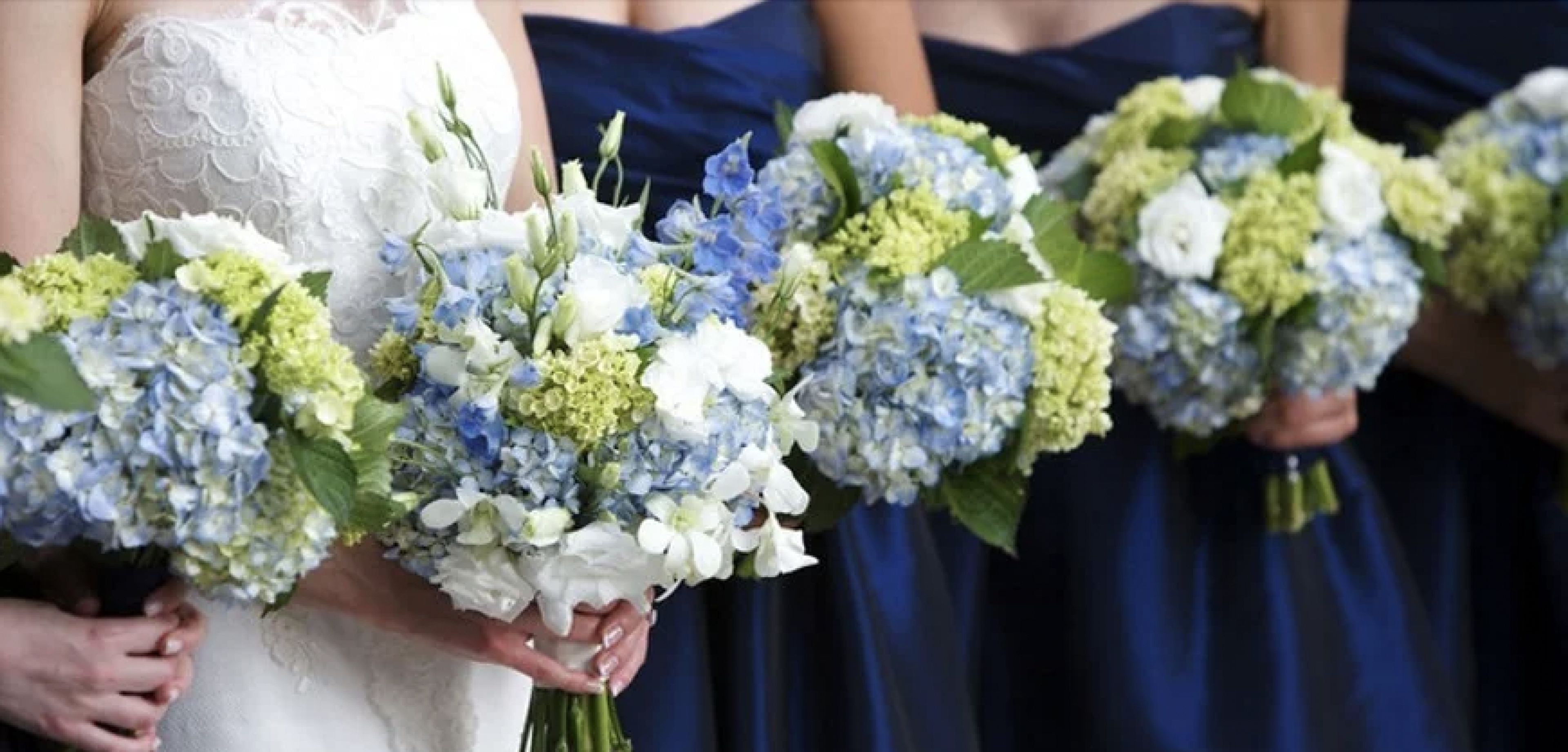 Cover photo of Nature's Design Studio