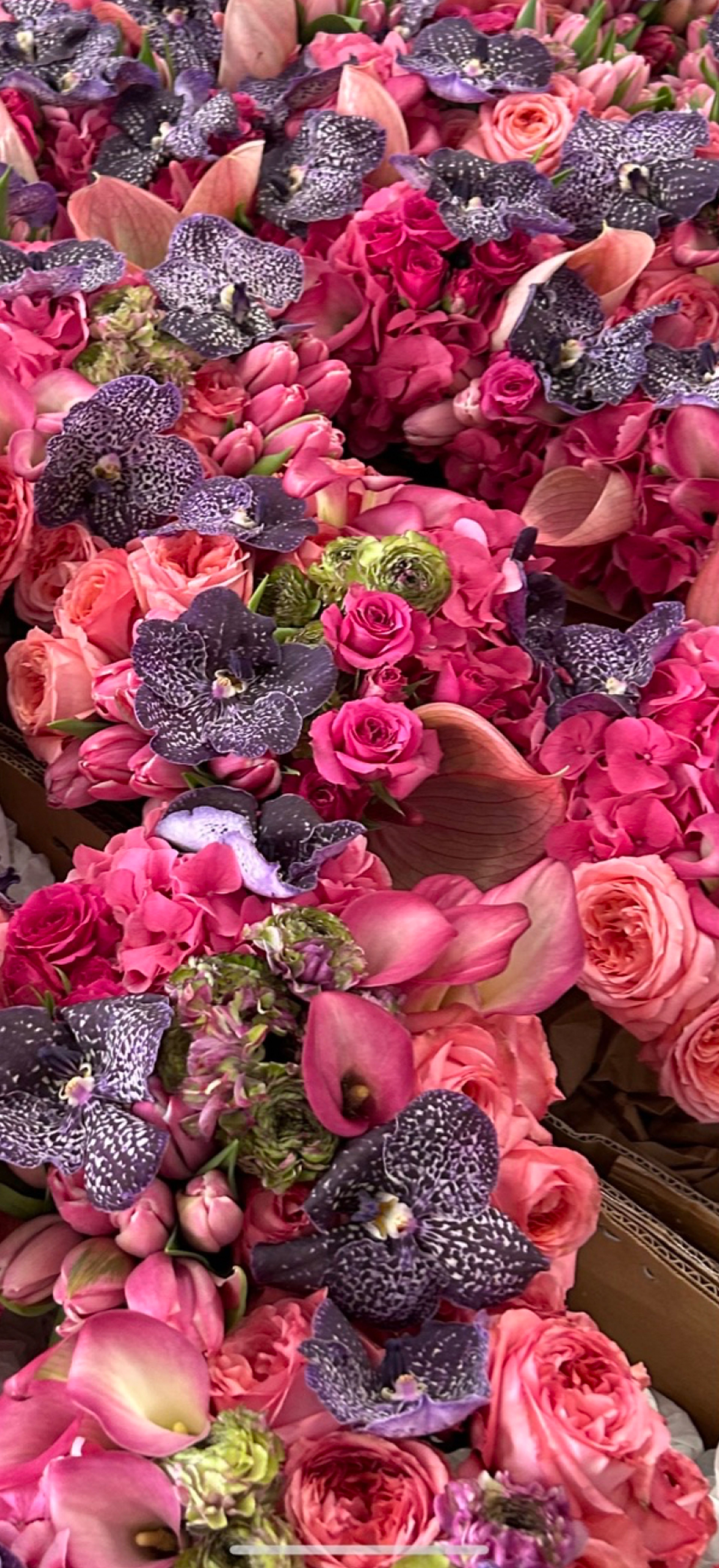 Cover photo of Ilex Designs