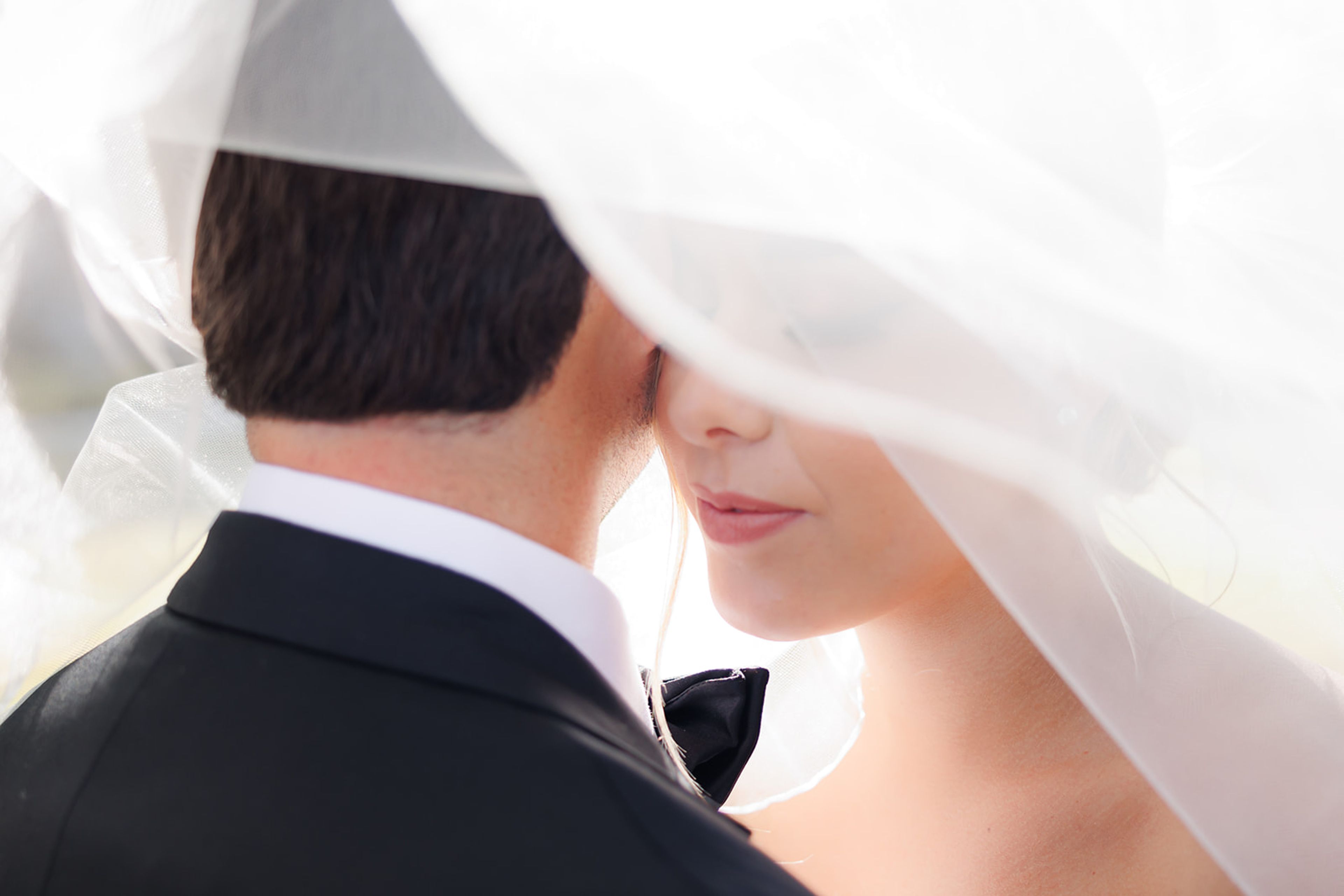 Cover photo of Studio This Is