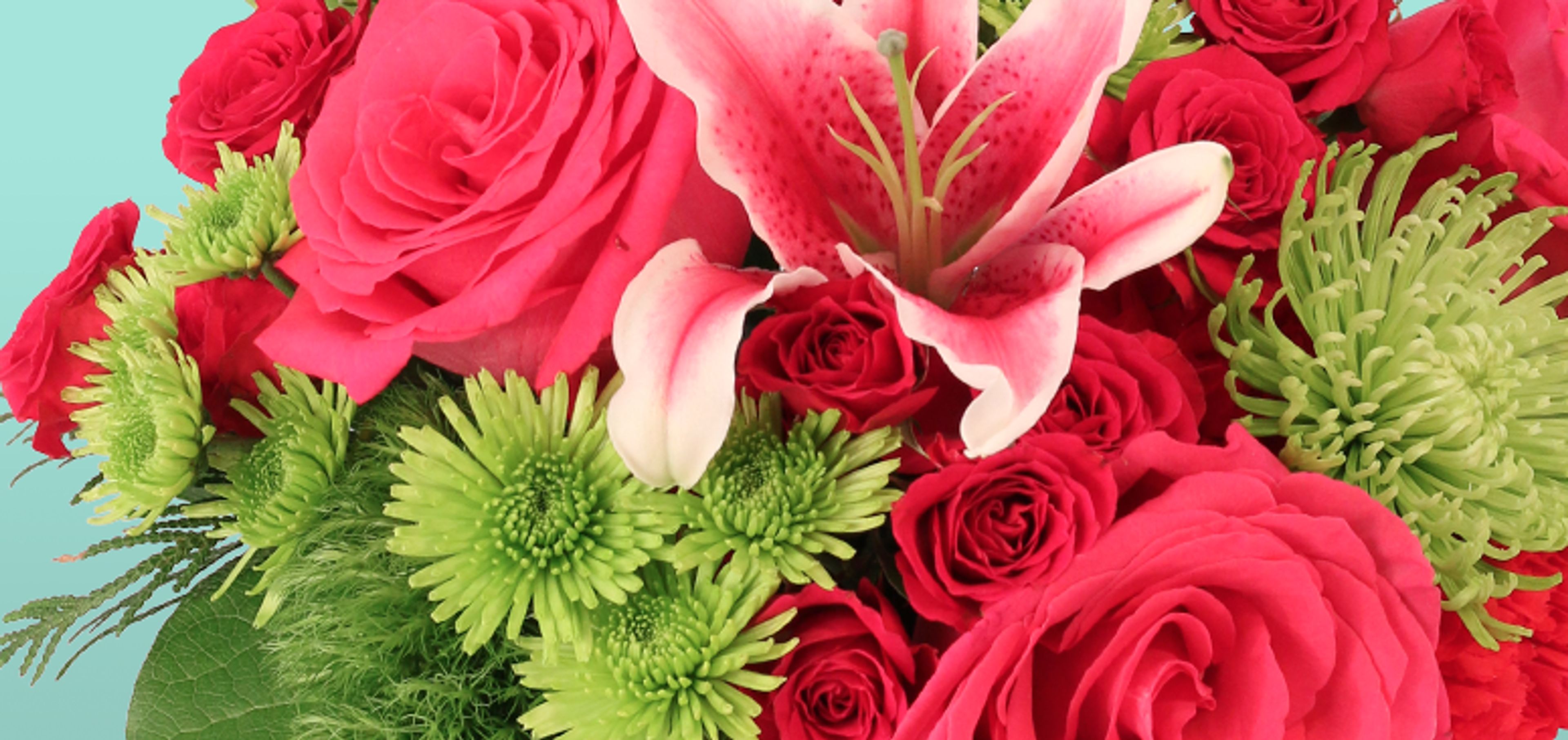 Cover photo of Holbrow's Quincy