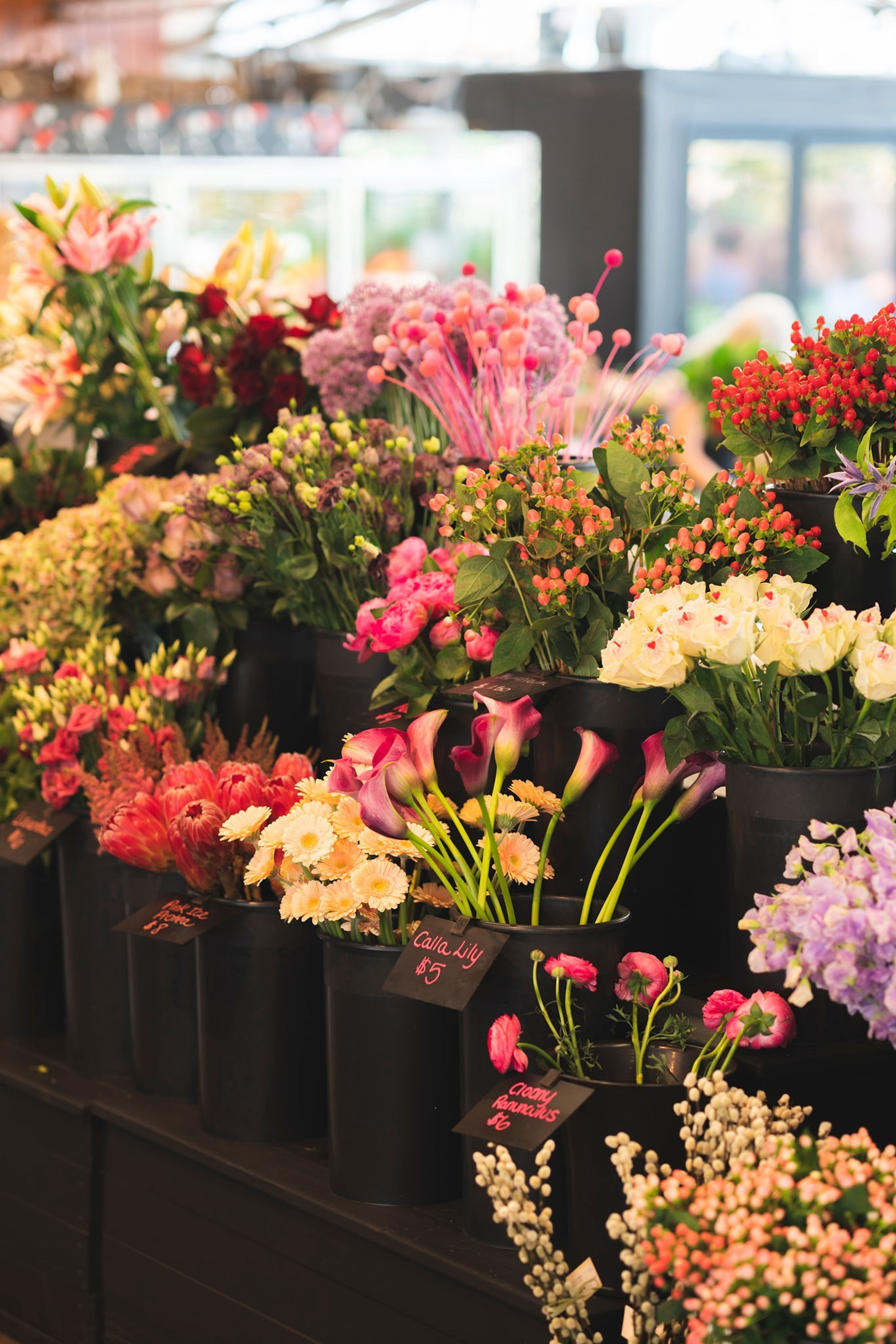 Cover photo of Mahoney’s Garden Center