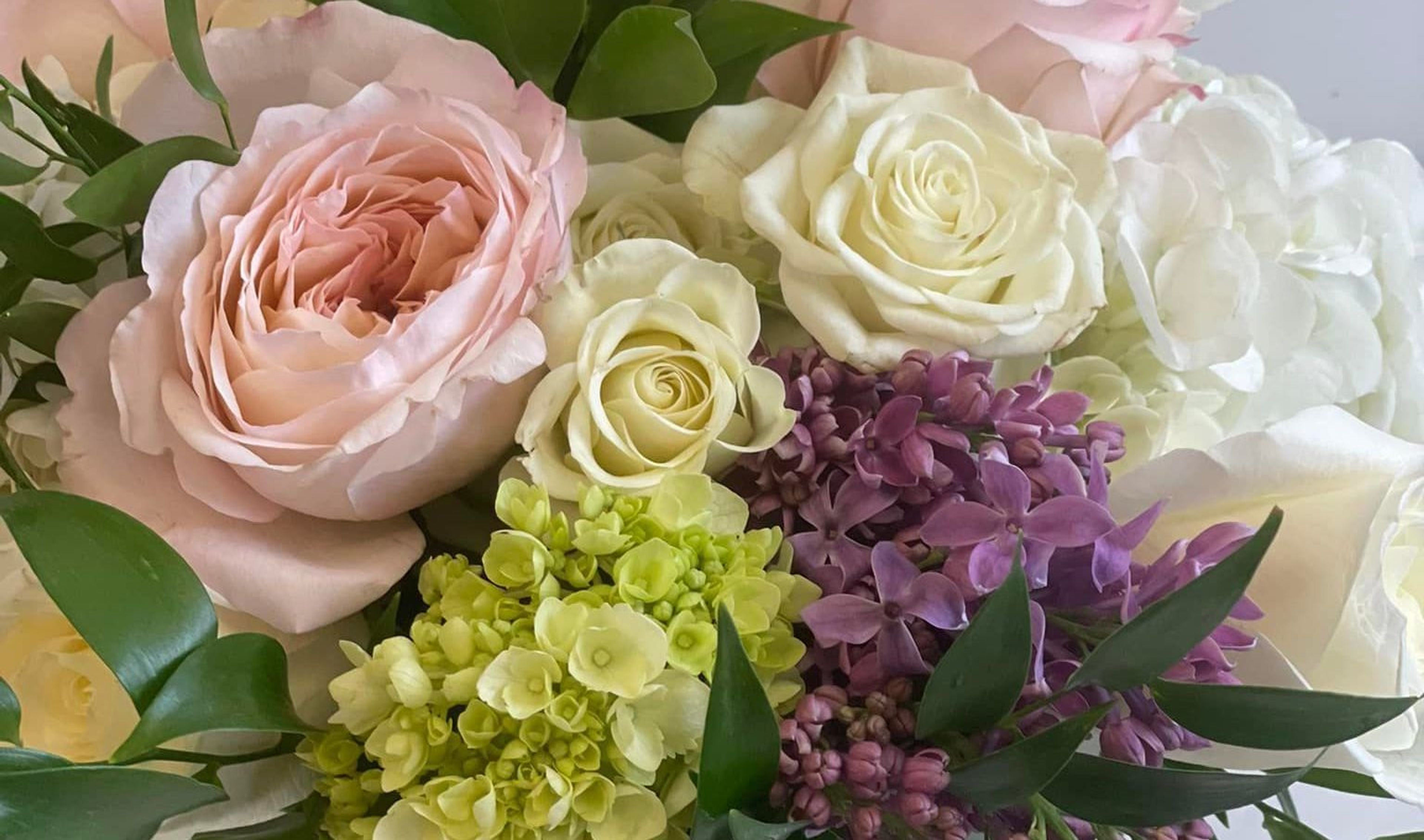 Cover photo of Petrie's Flower and Plant Shoppes