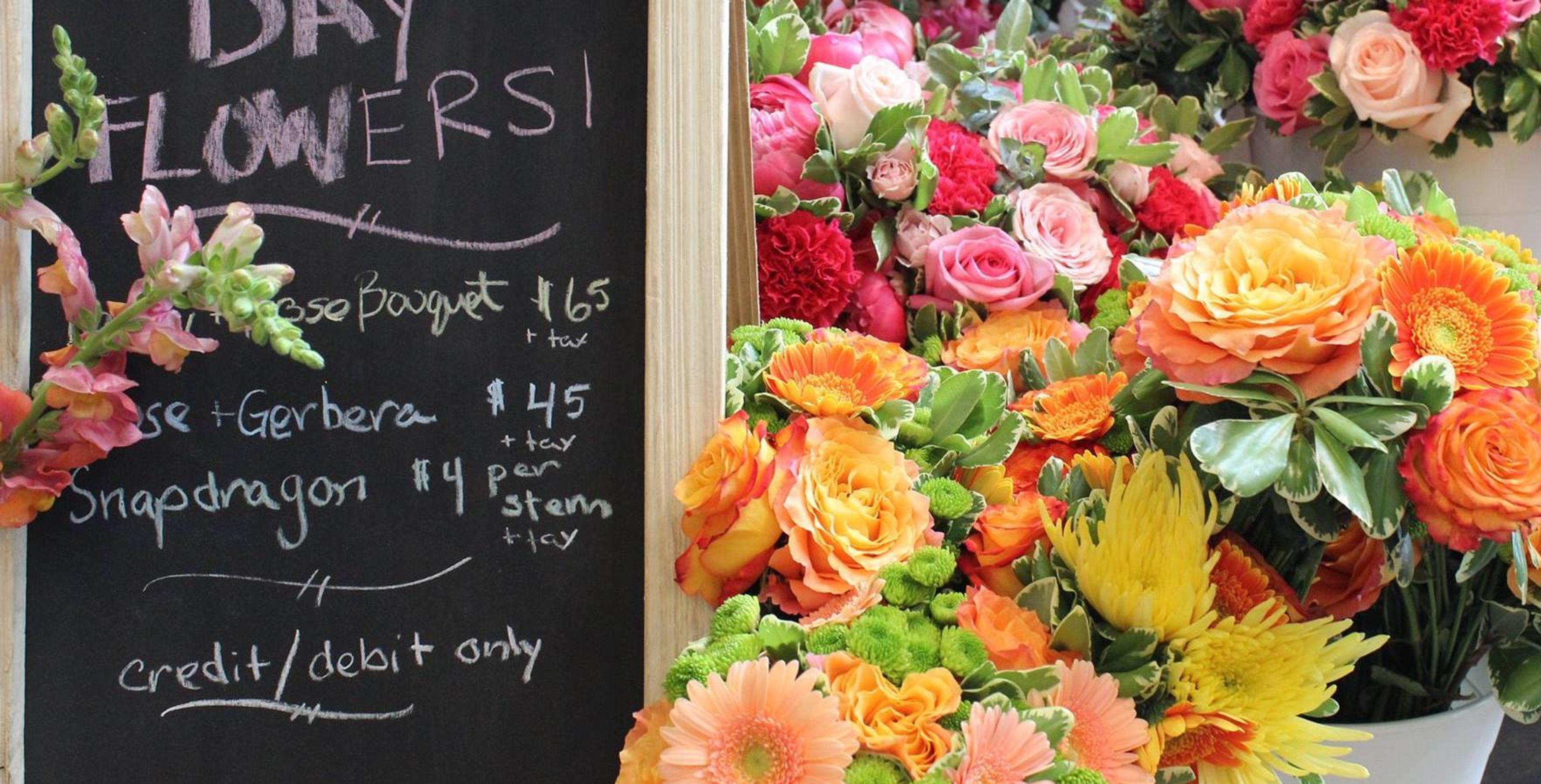 Cover photo of AP Studio