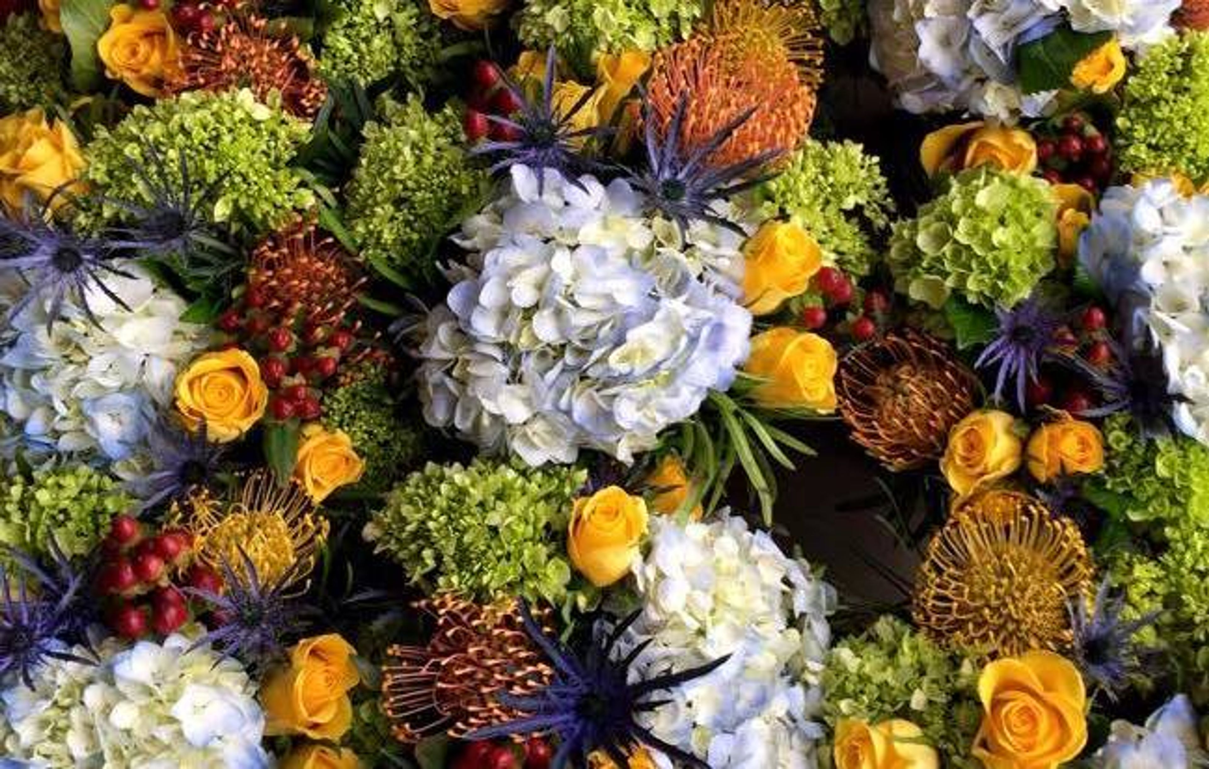 Cover photo of Louis Barry Florist