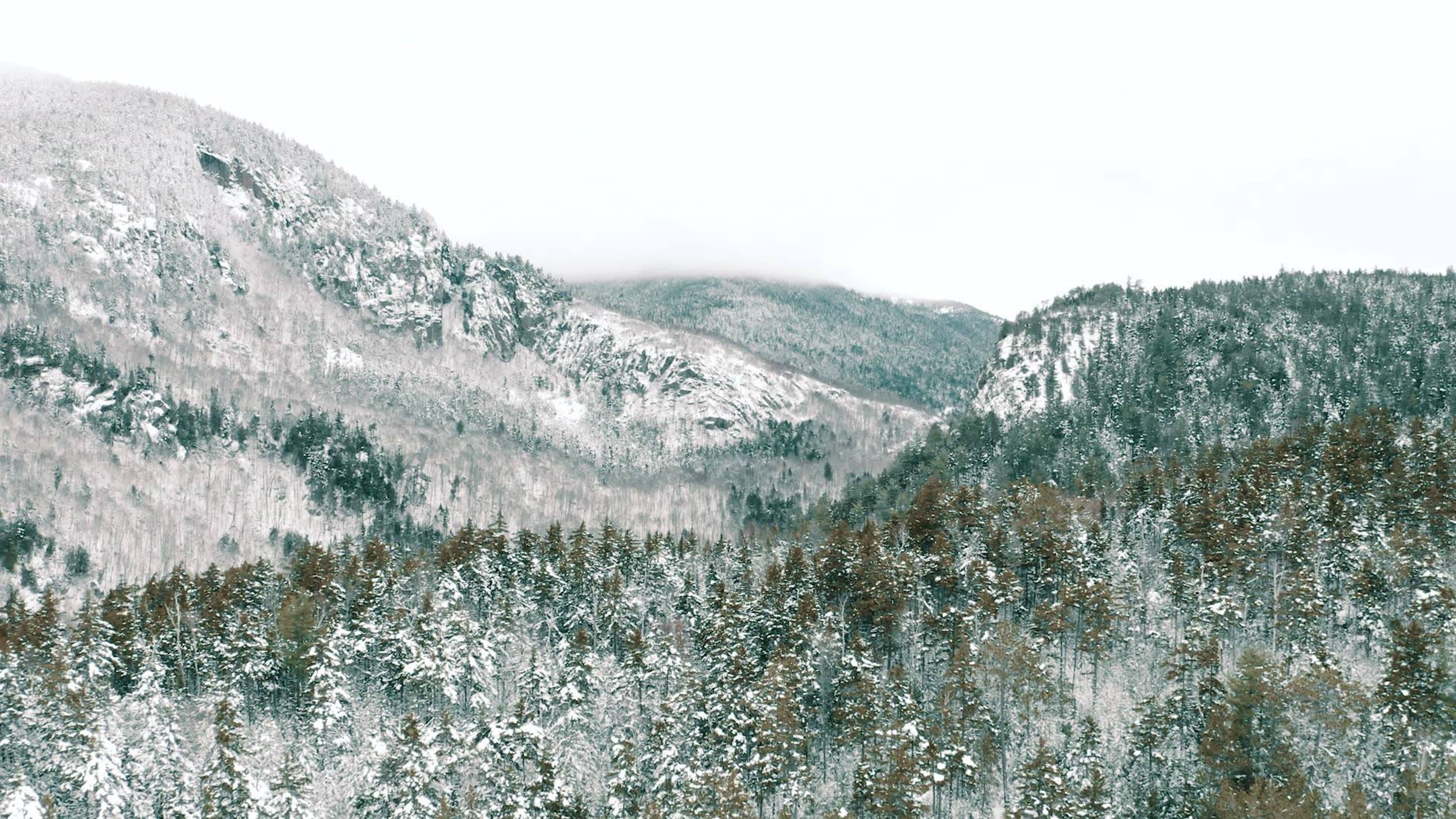 Cover photo of Peach & Orange