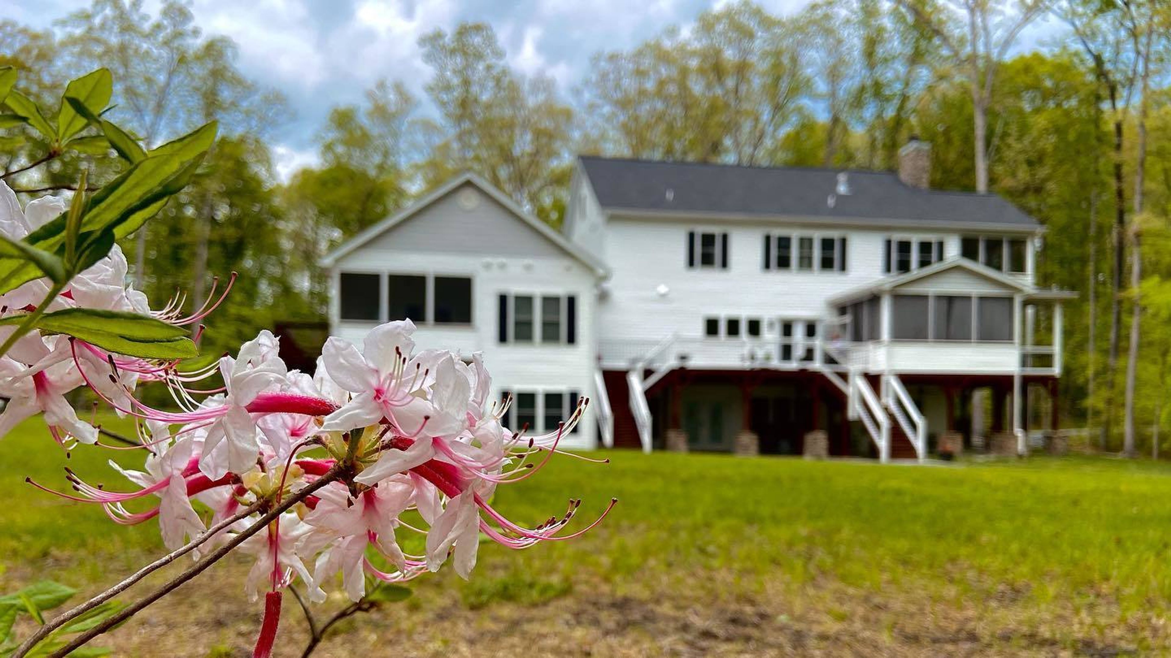 Cover photo of Grayter Memories