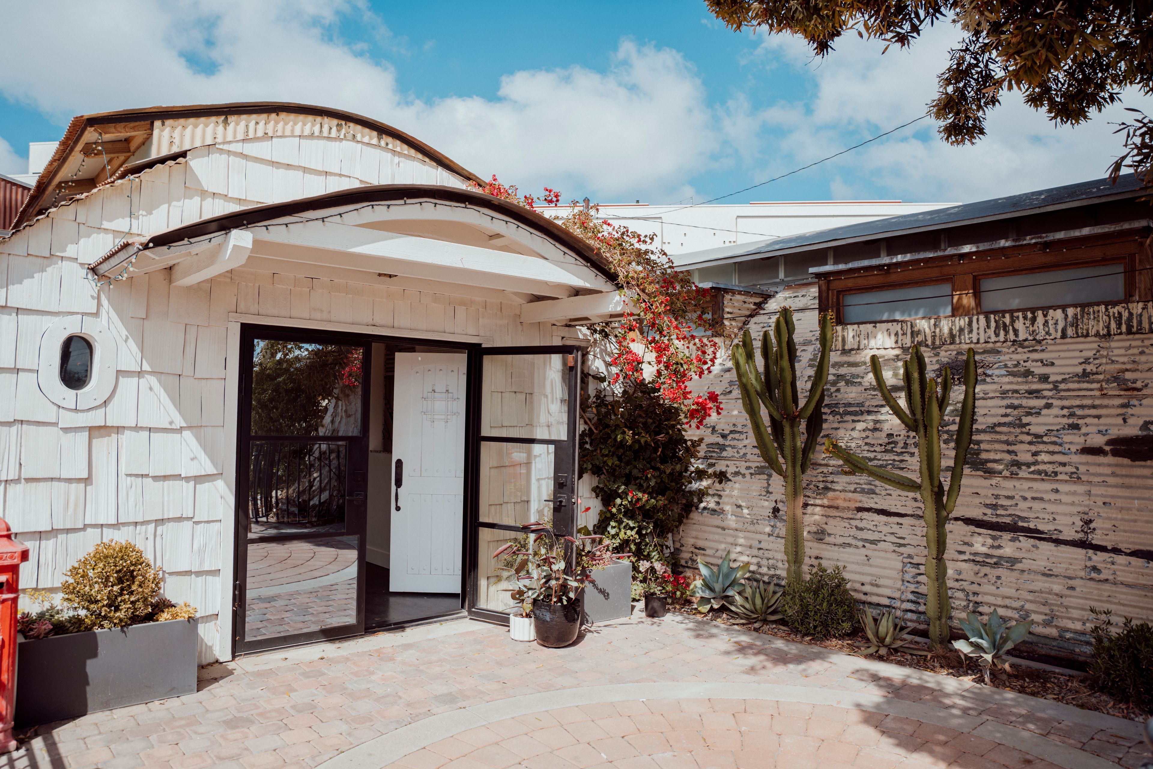 Cover photo of The Shindy