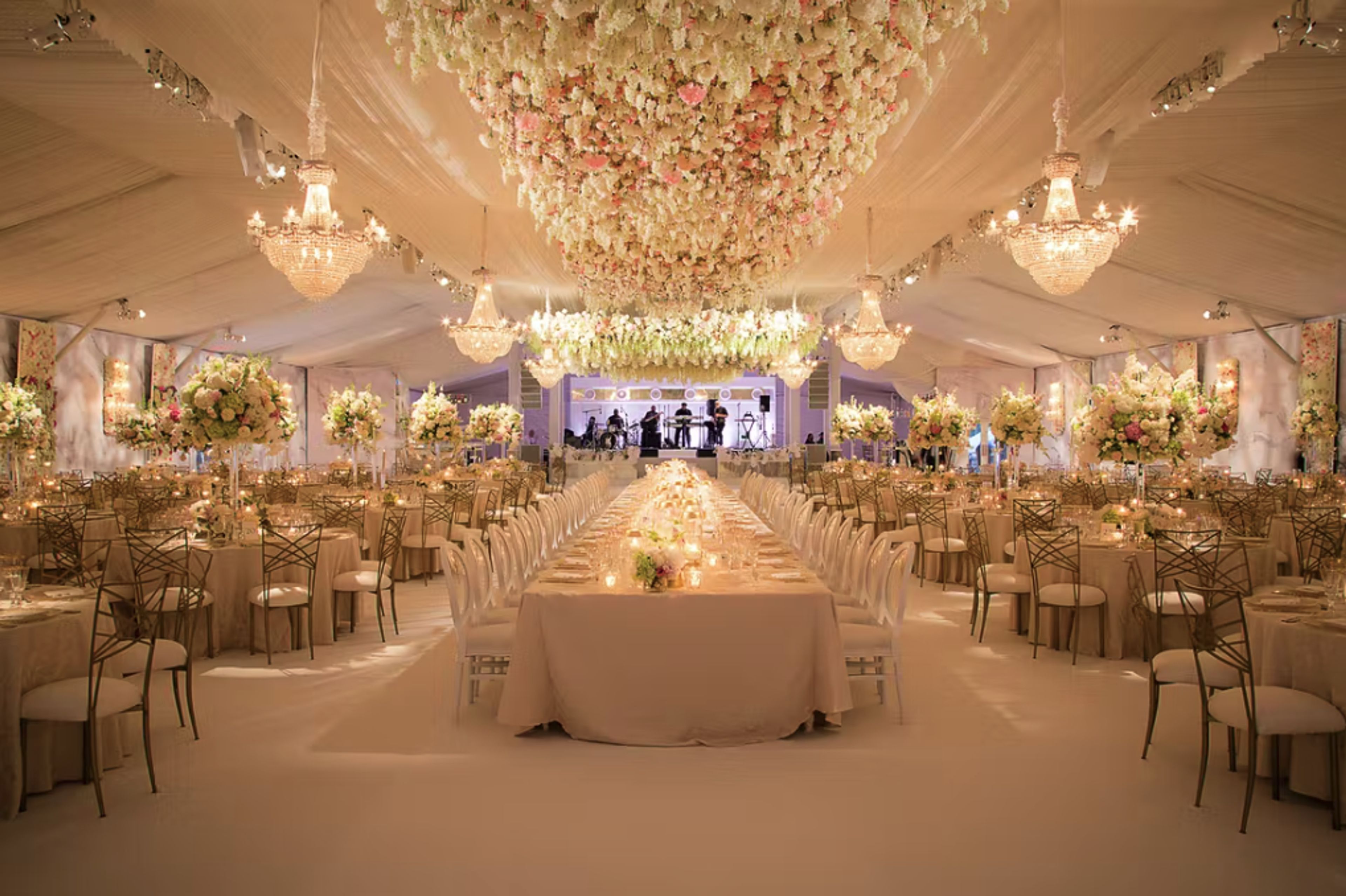 Cover photo of Plants n’ Petals