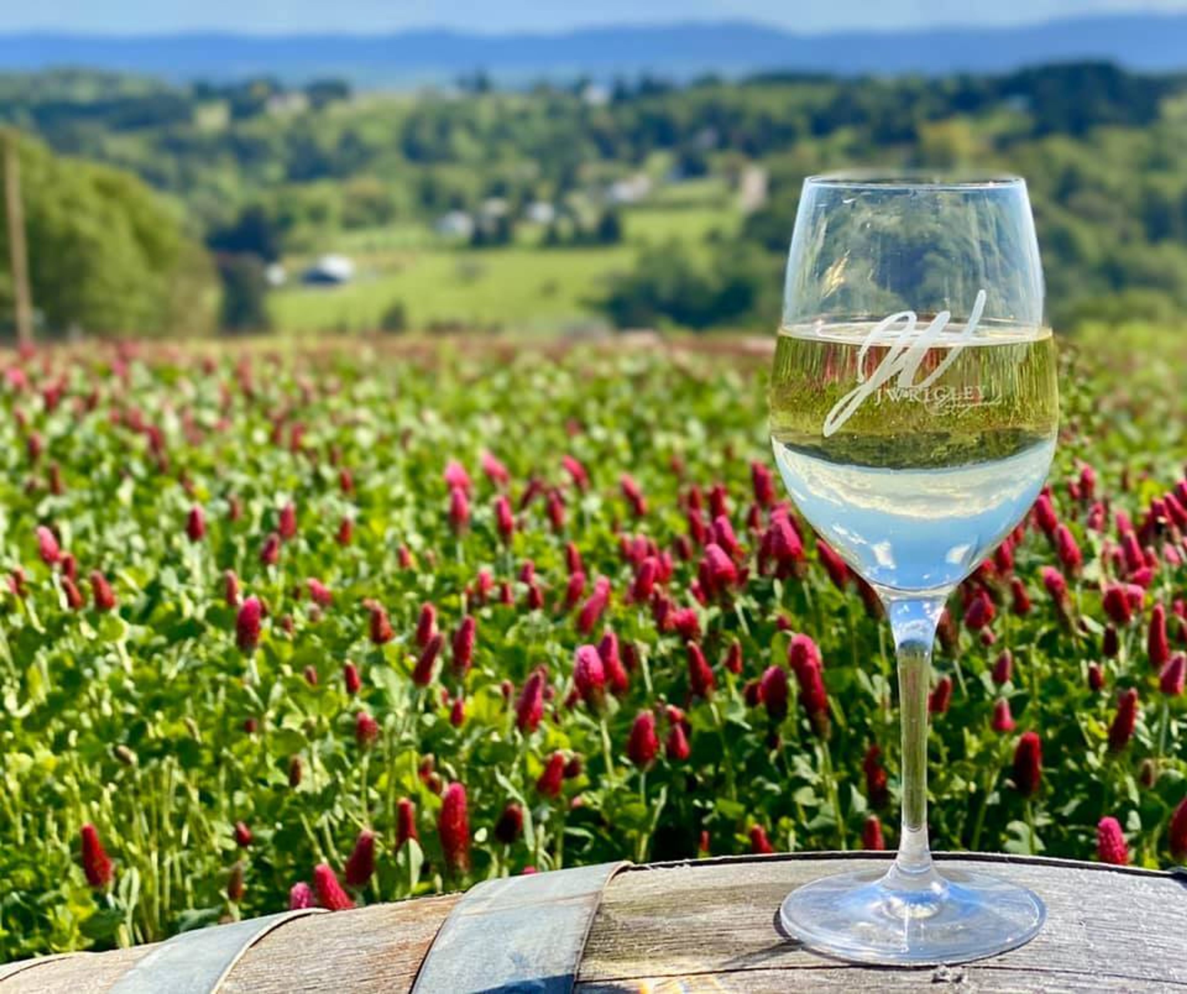 Featured photo from J Wrigley Vineyards