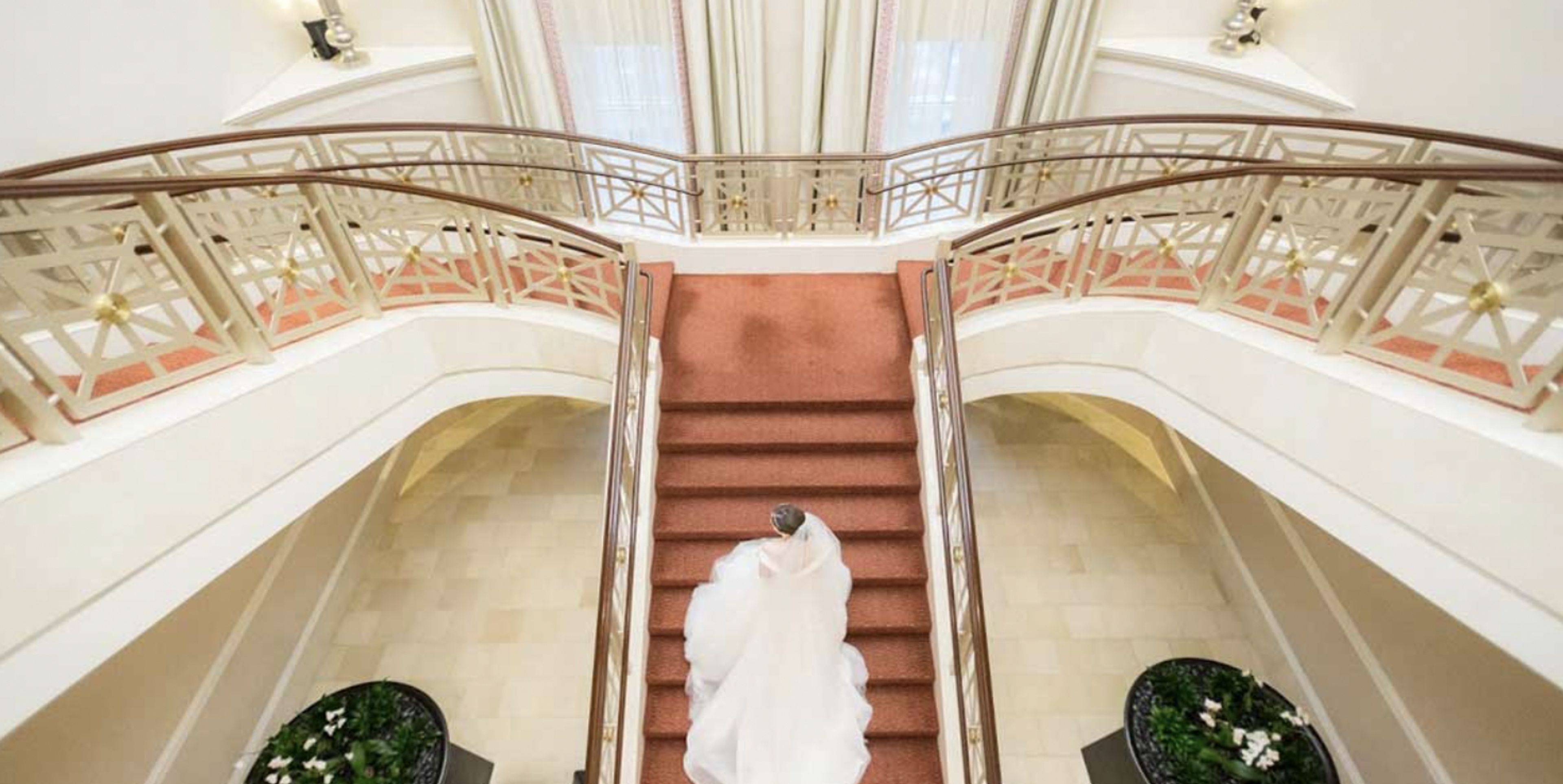 Cover photo of Omni Providence