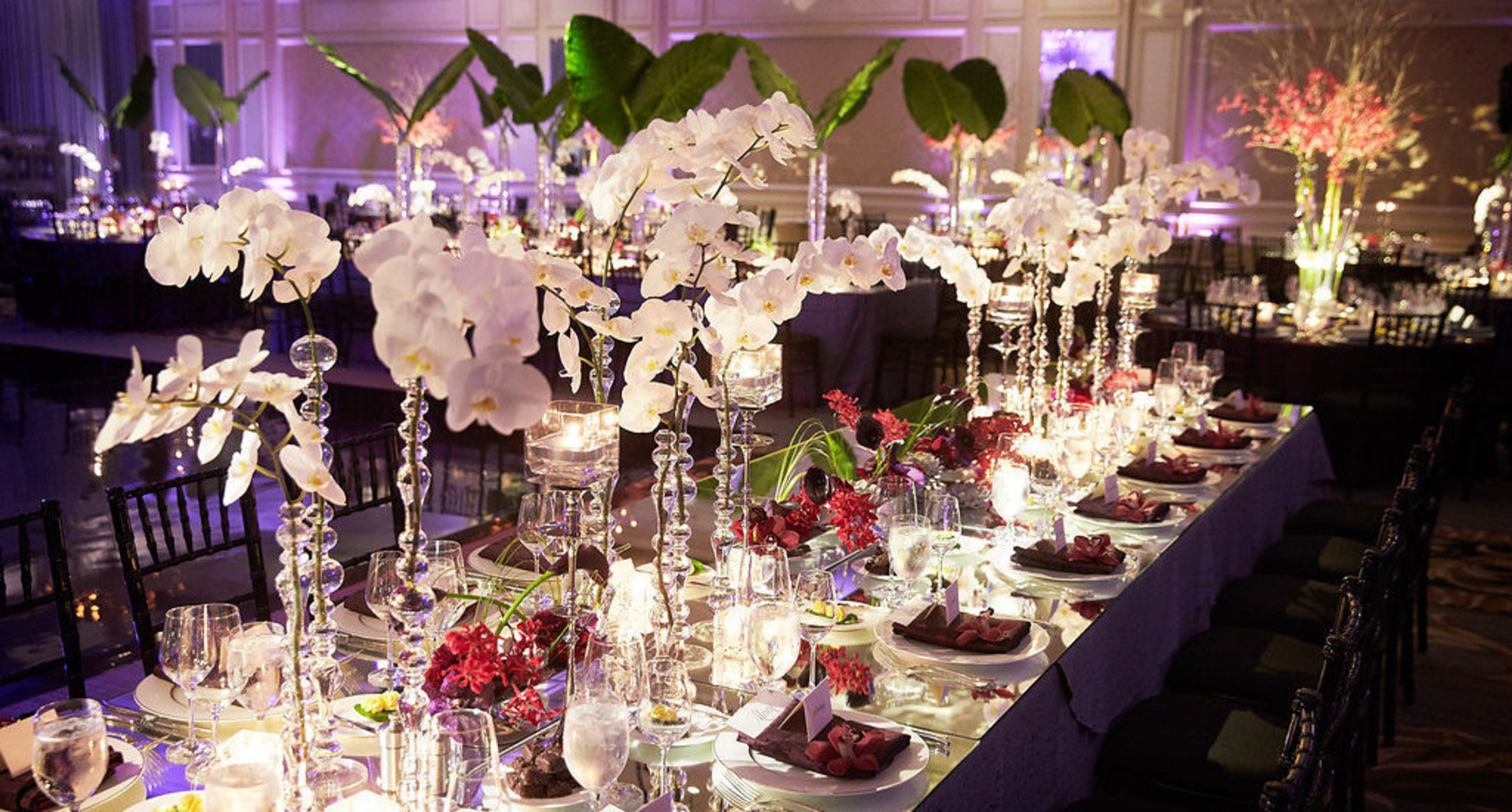 Cover photo of So Stacy