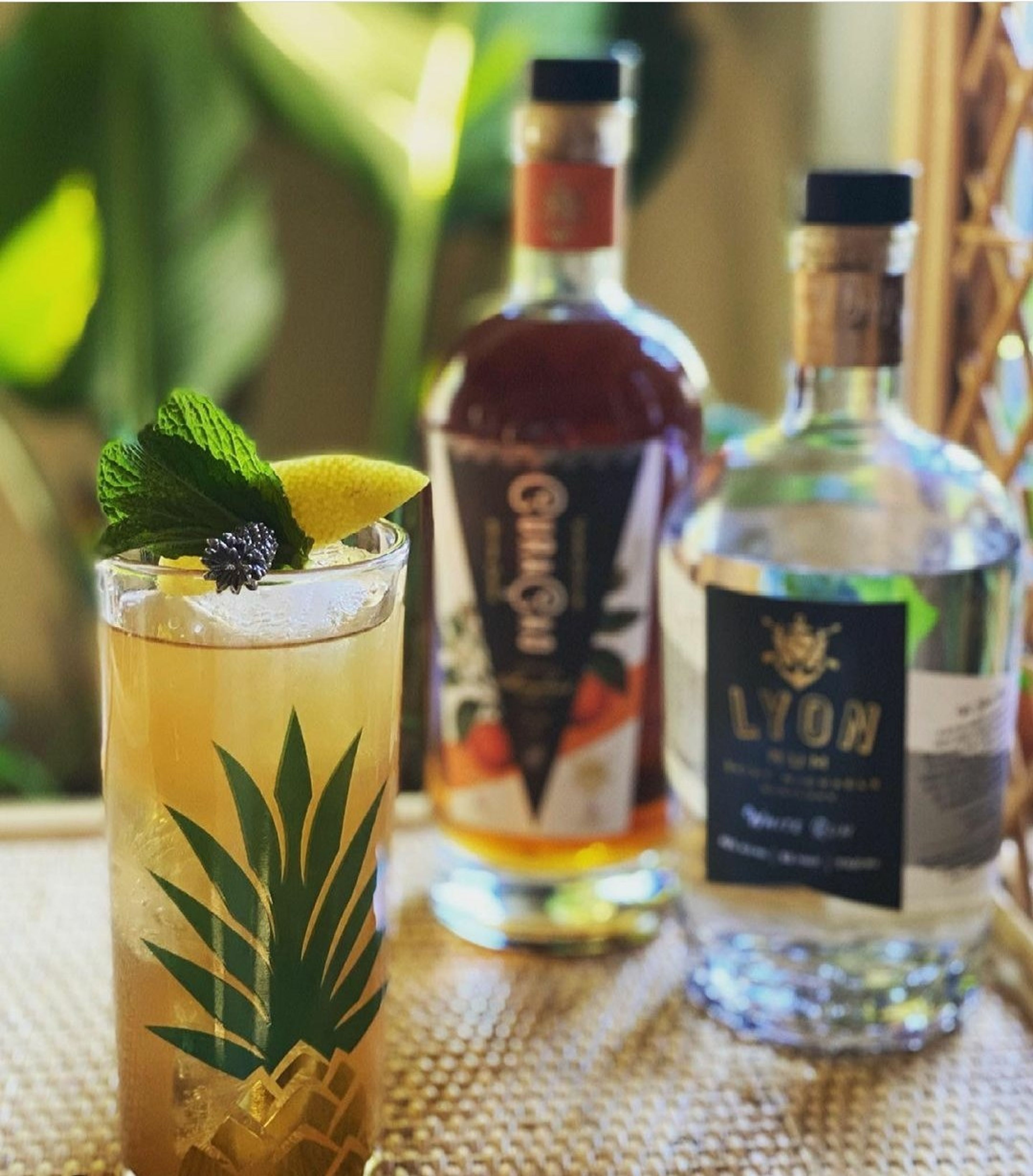 Cover photo of Ace Beverage