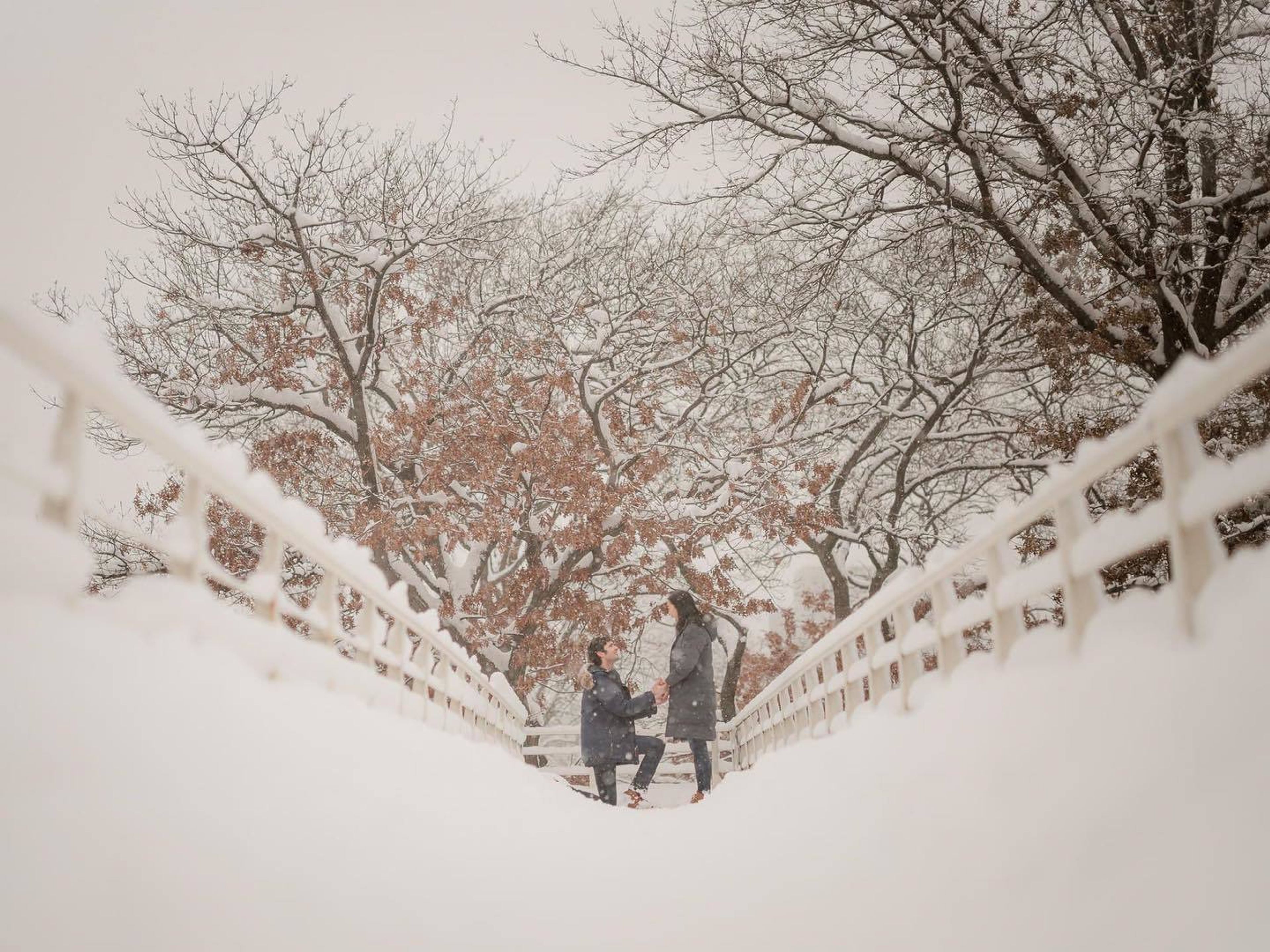 Cover photo of Bella Wang Photography