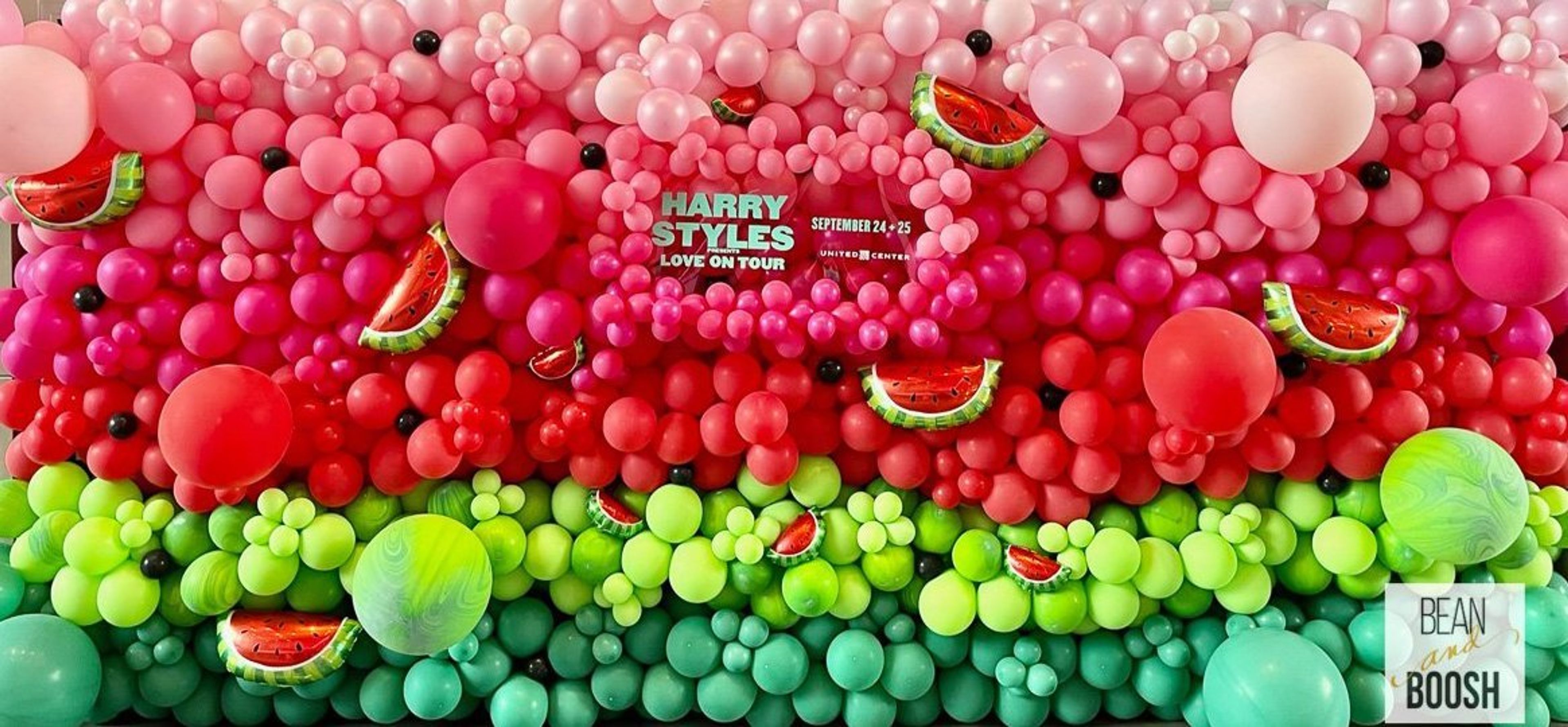 Cover photo of Bean and Boosh