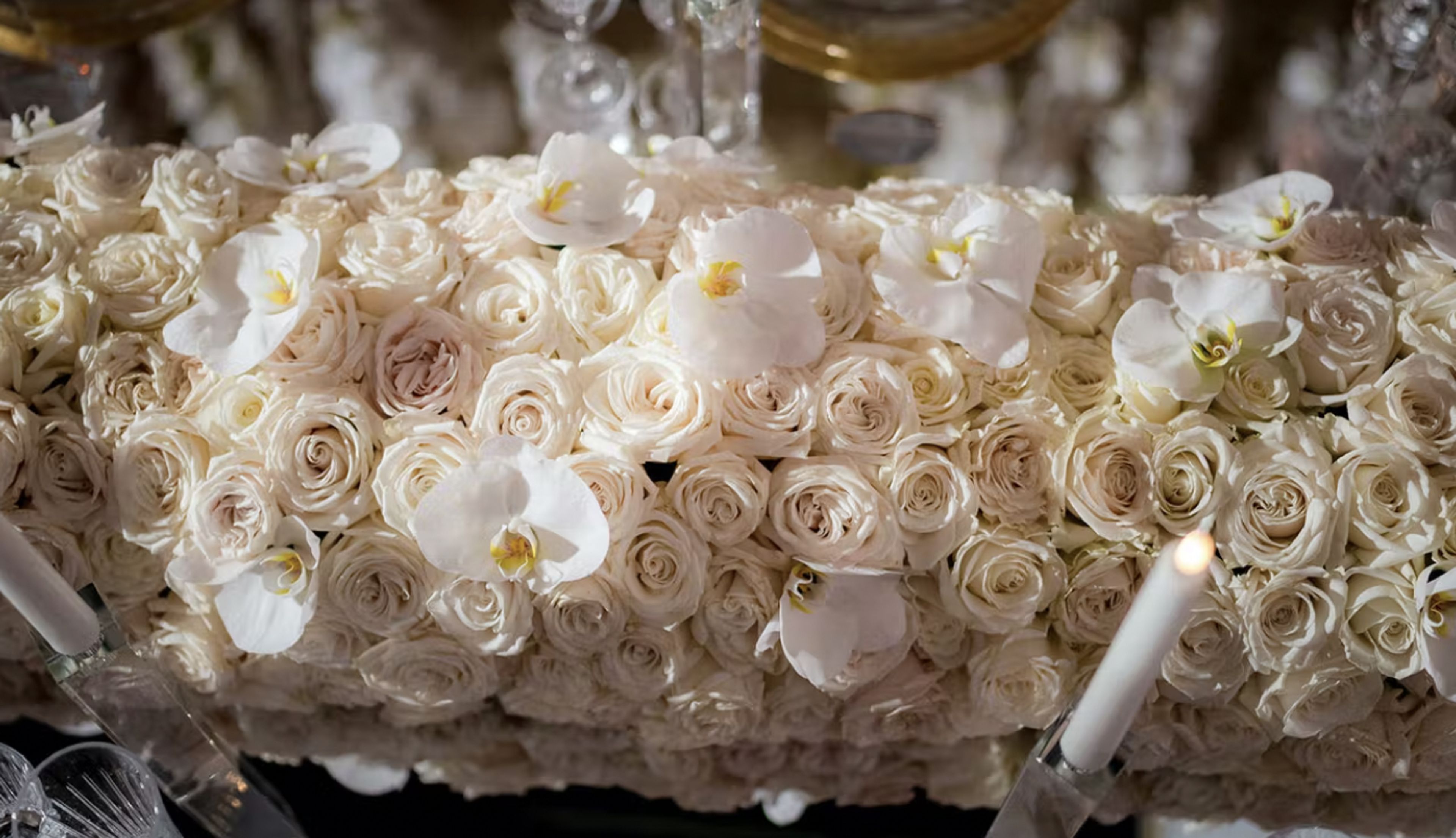 Cover photo of Flowers by Steve