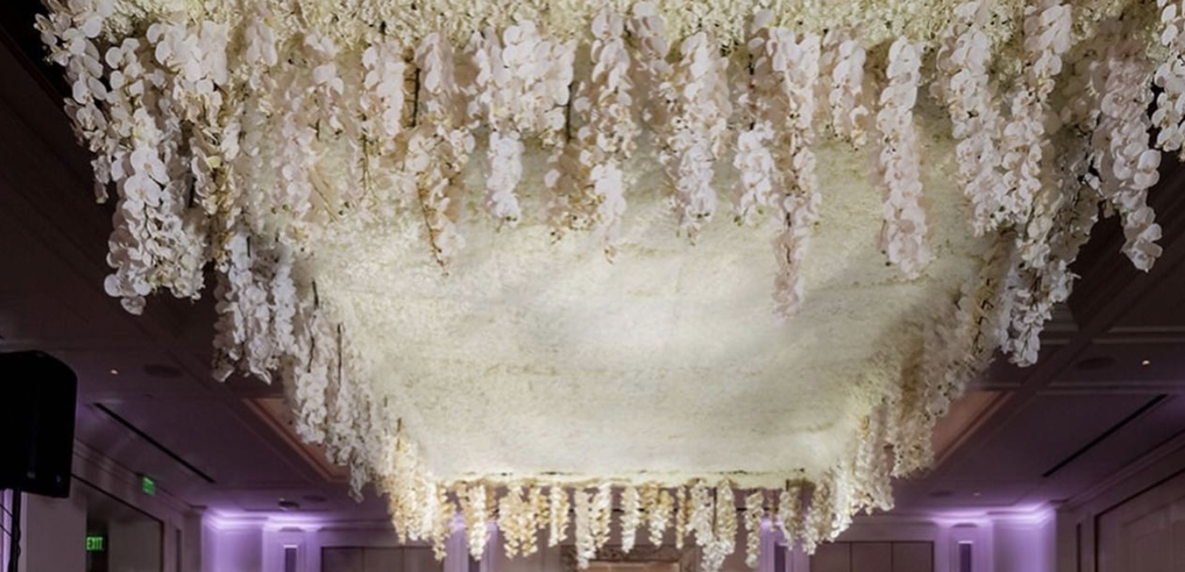 Cover photo of Rafael Floral Design