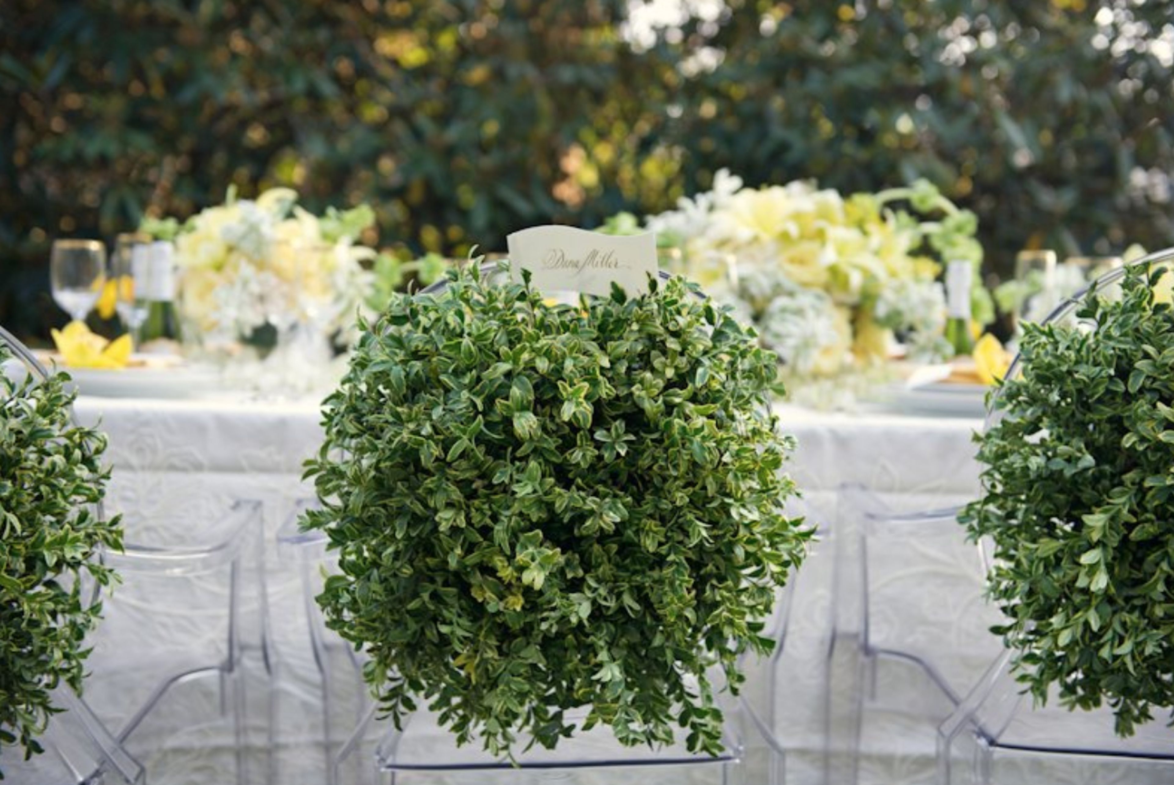 Cover photo of Datura, A Modern Garden