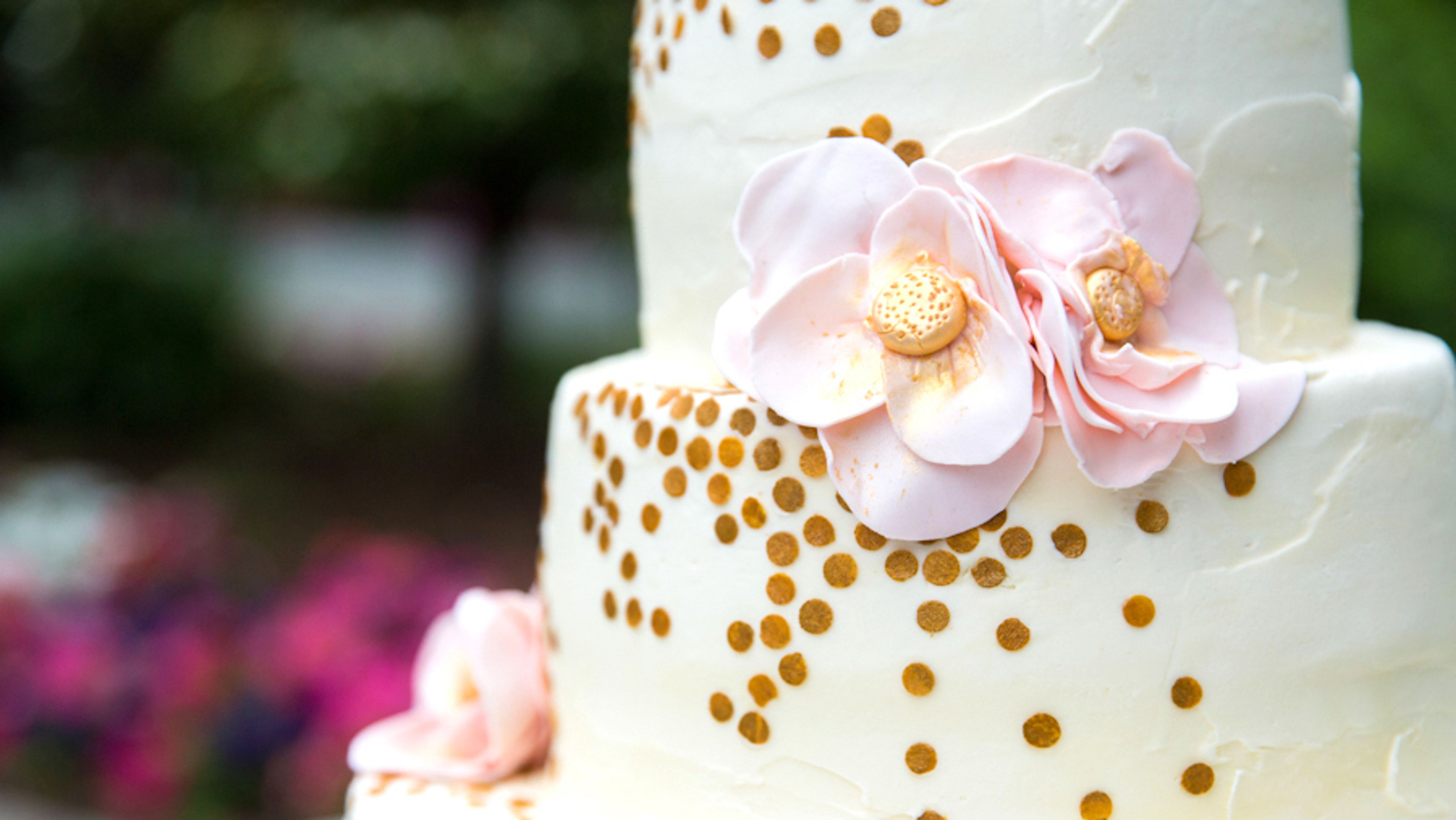 Cover photo of Above and Beyond Catering