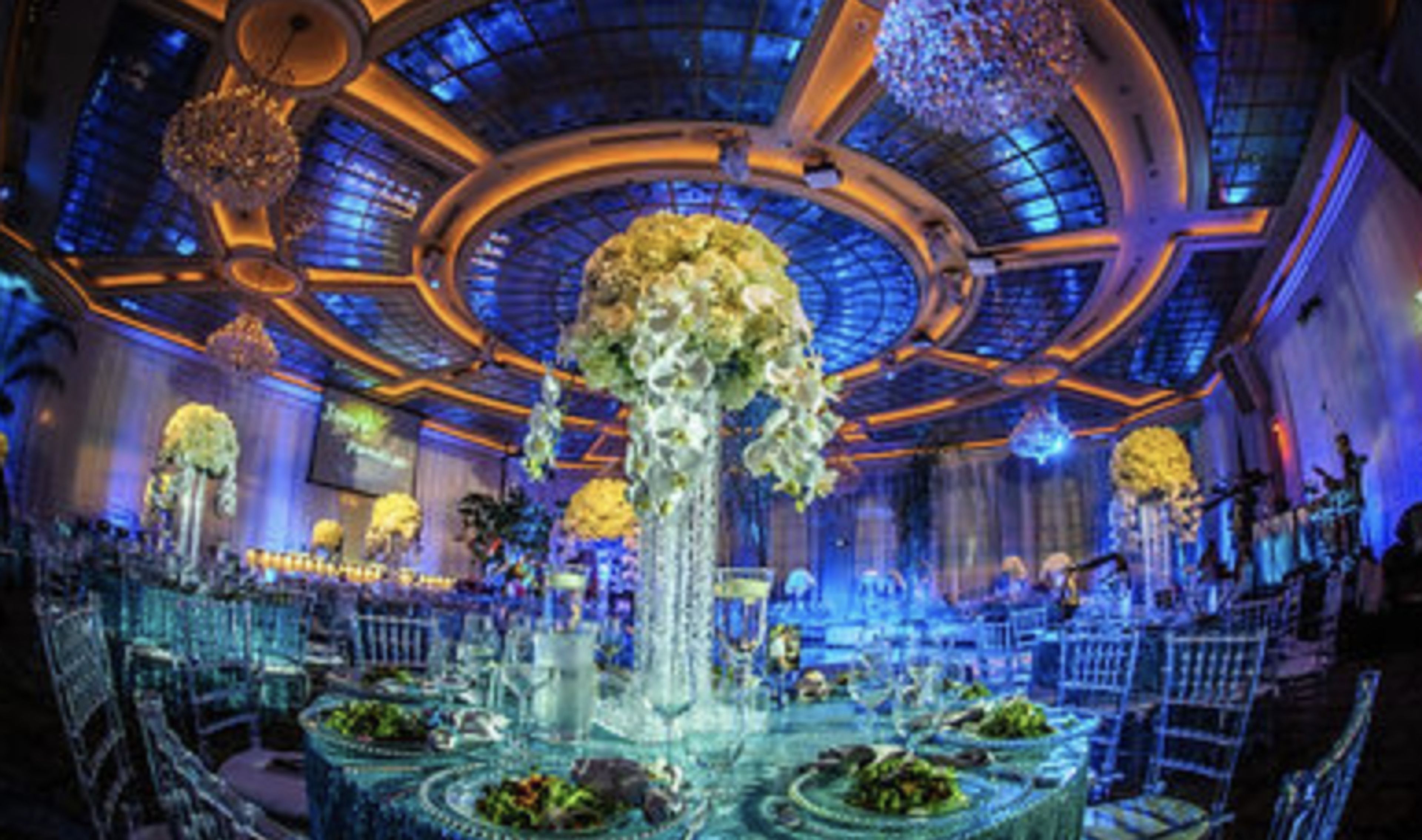 Cover photo of Signature Exposure