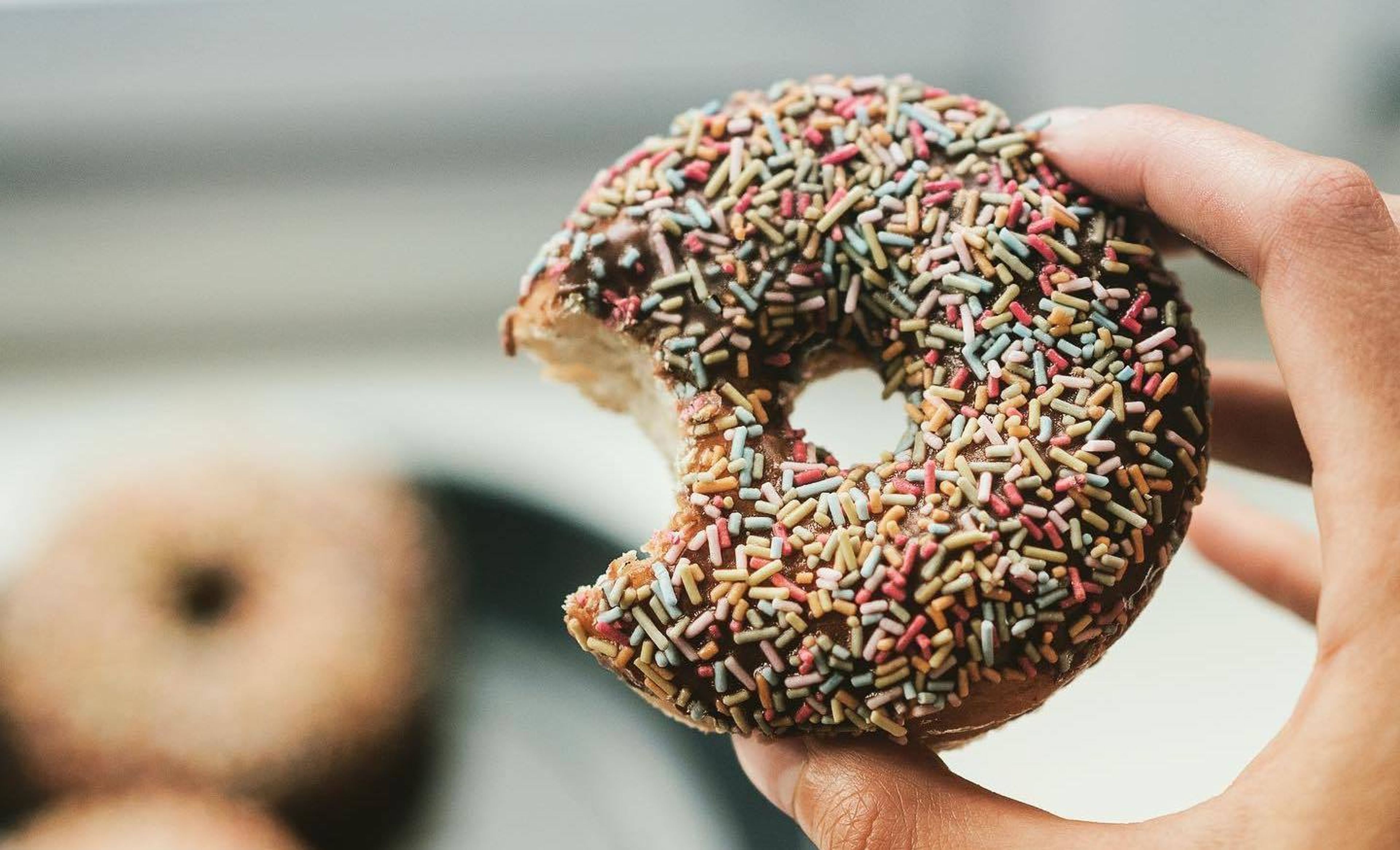 Cover photo of Back Door Donuts